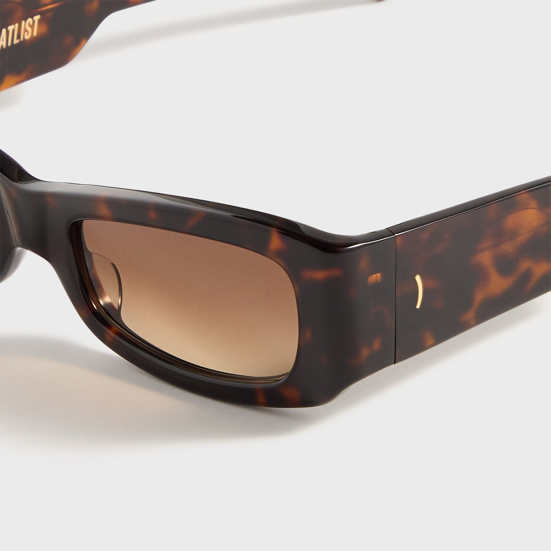 Flatlist Kareem in Tortoise / Brown Gradient Lens