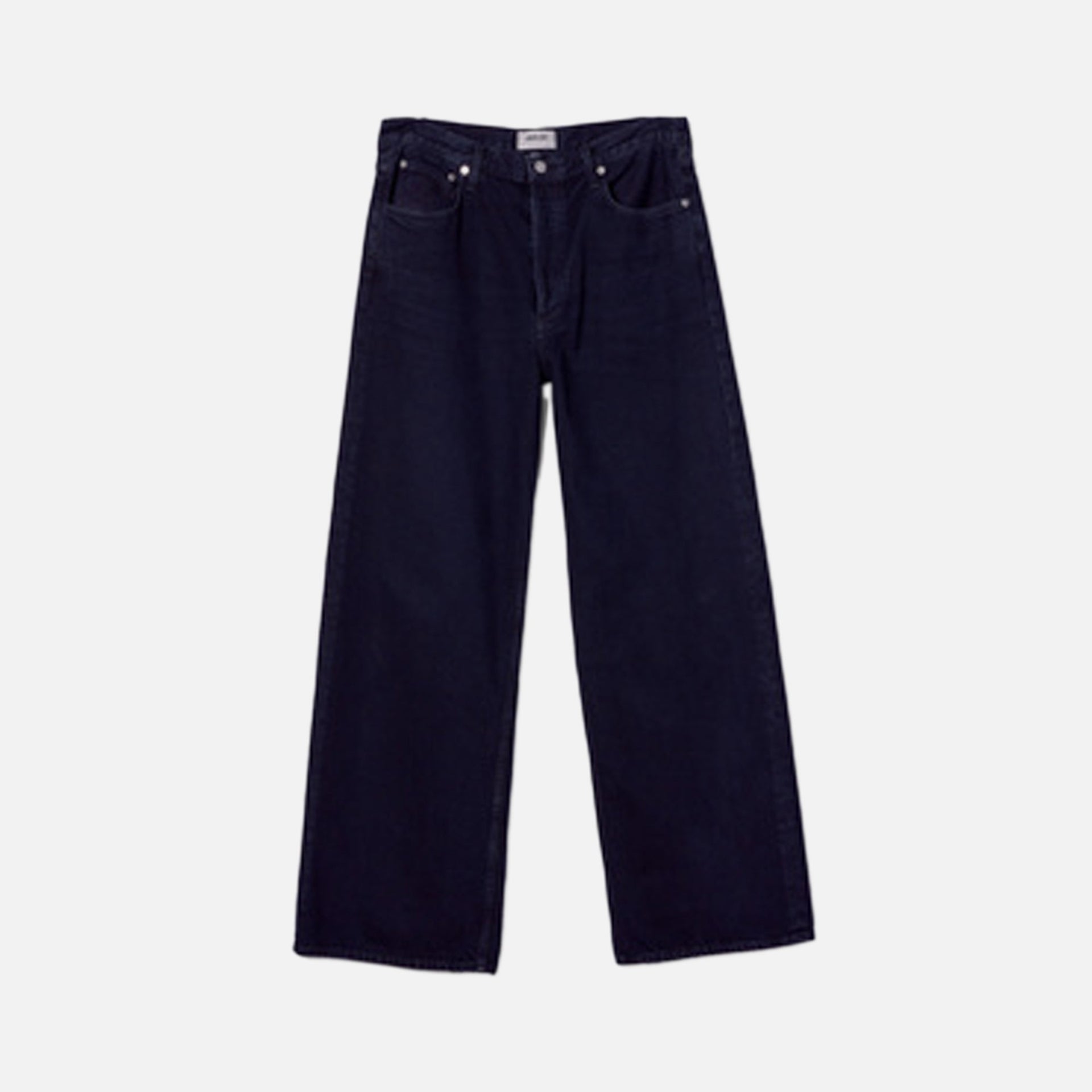 Agolde Low Slung Baggy Jeans - Crushed