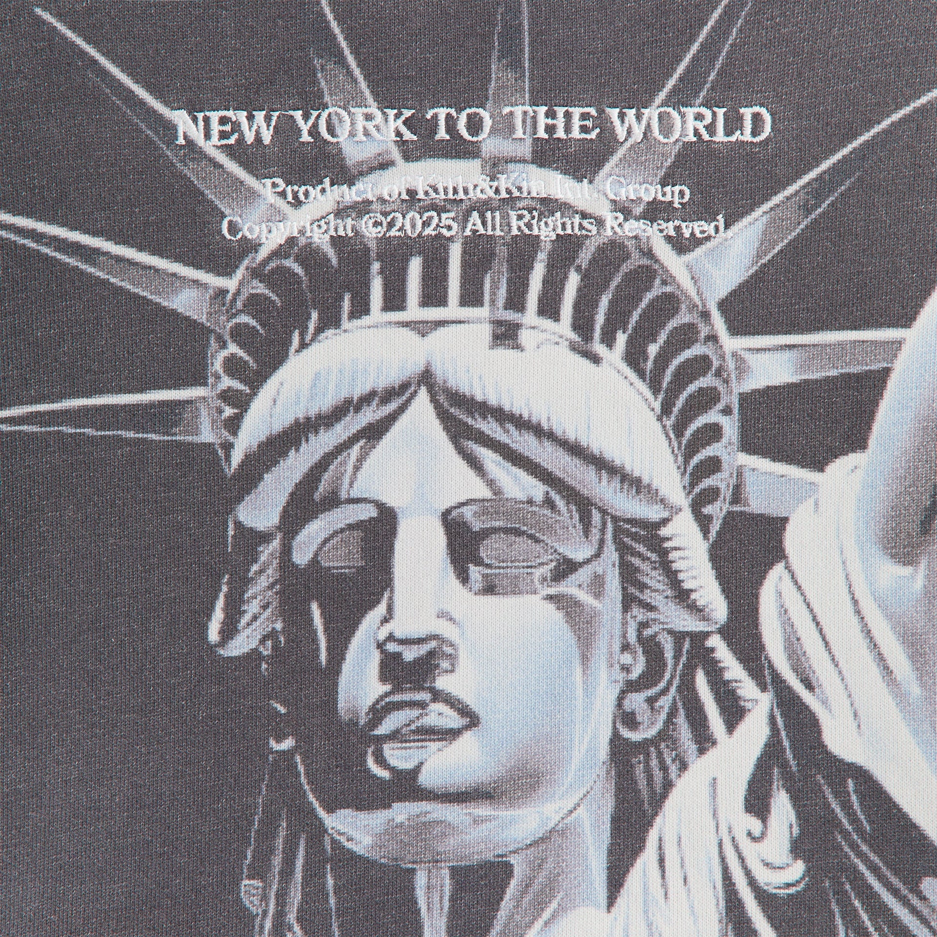 Kith Kids Statue of Liberty Hoodie - Black