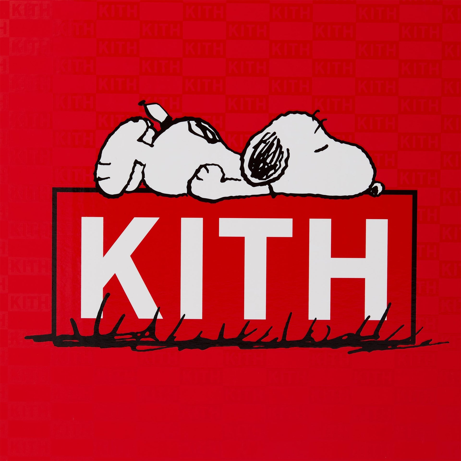 Kith for Peanuts Palette Snoopy Plush Set - Multi
