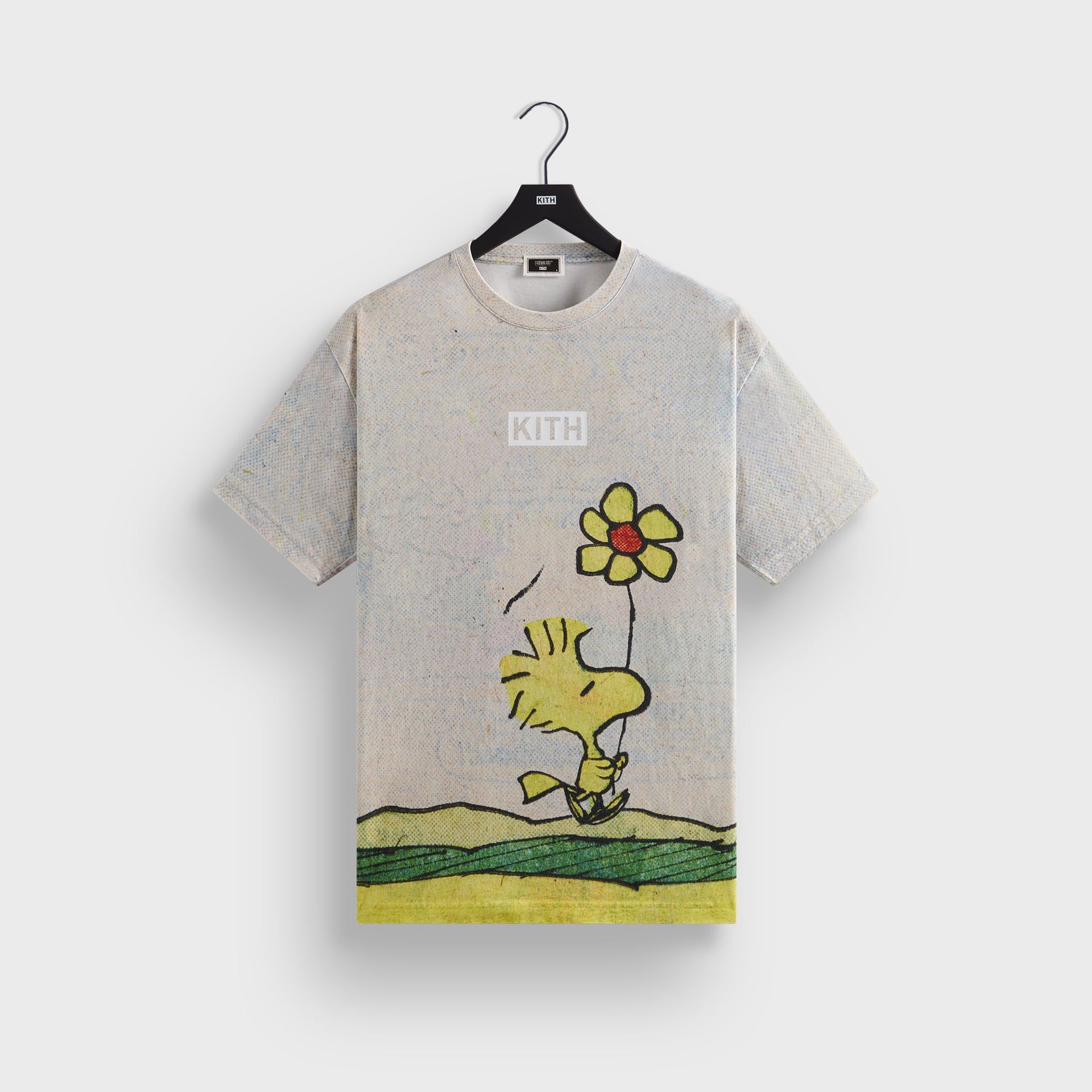 Kith for Peanuts Woodstock Comic Vintage Tee - Chalk