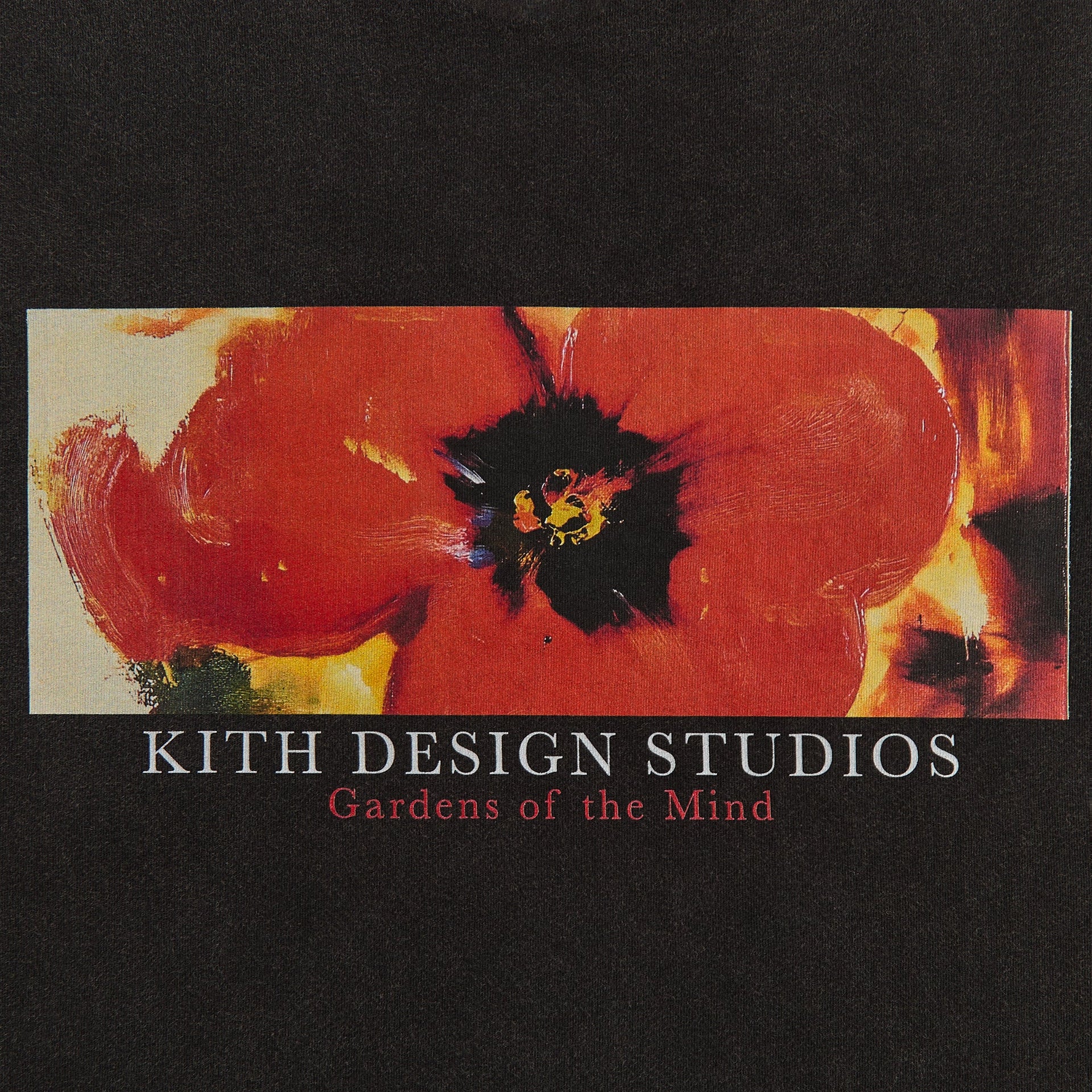 Kith Gardens of The Mind Vintage Tee - Black