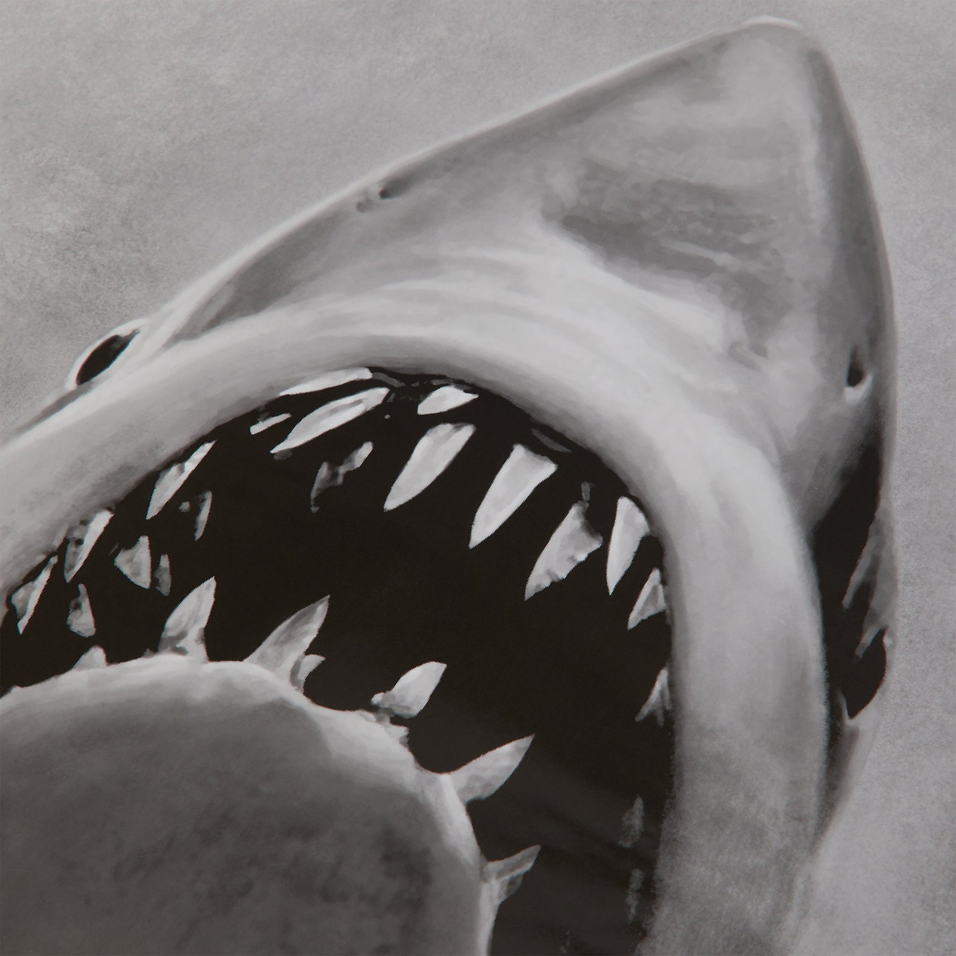 Kith for JAWS Japanese Movie Poster - Multi