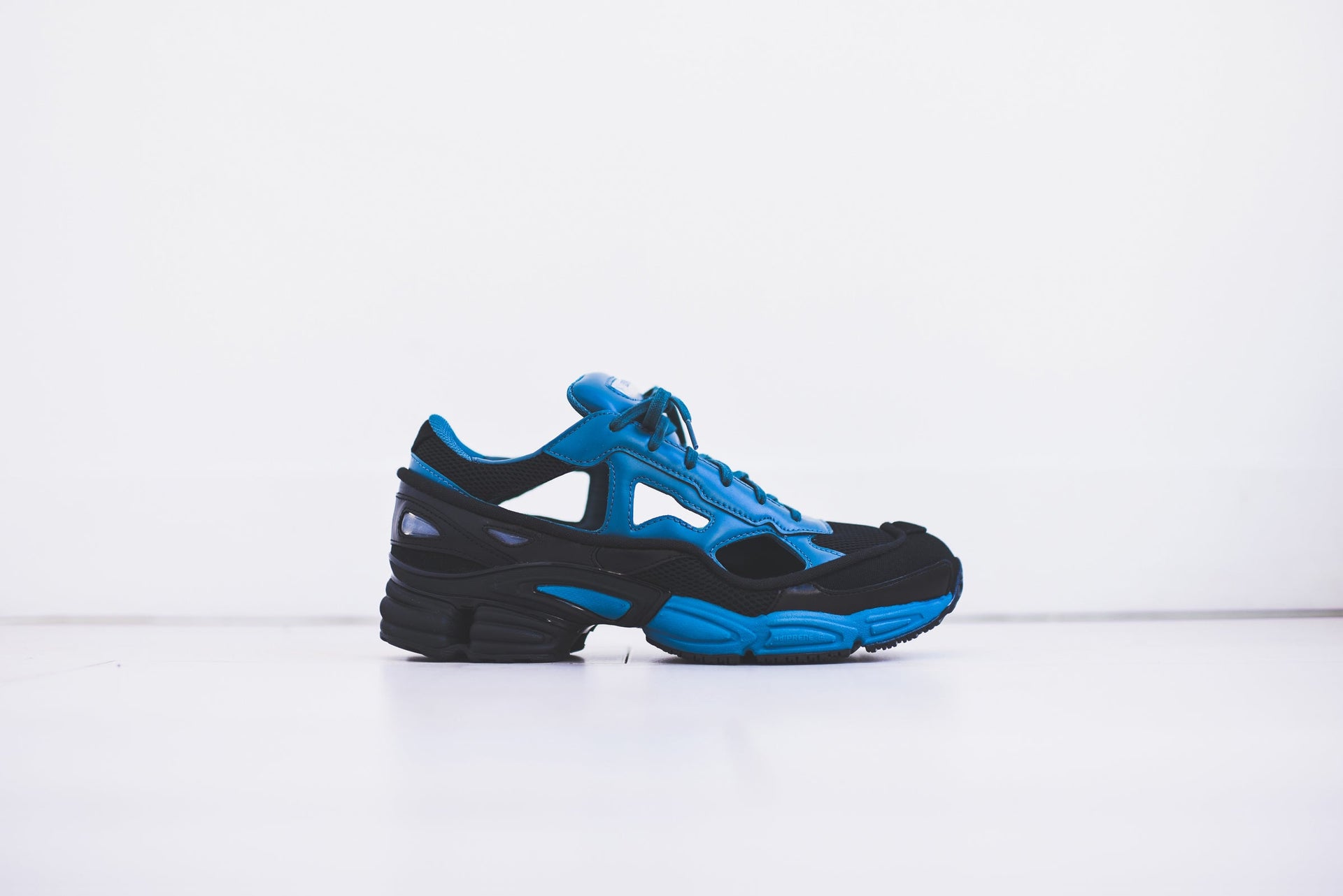 adidas by Raf Simons Replicant Ozweego Pack