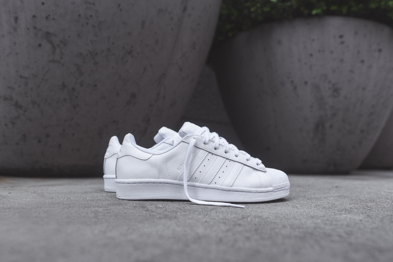 adidas Originals Superstar & Pro Model
