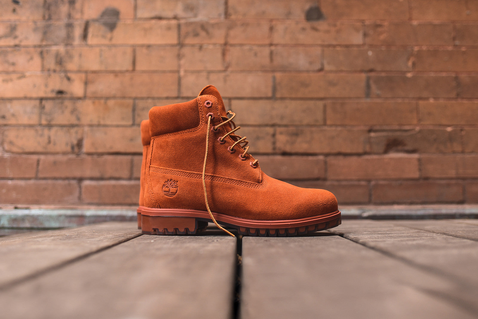 Timberland 6" Construct PRM - Autumn Leaf / Dark Rust