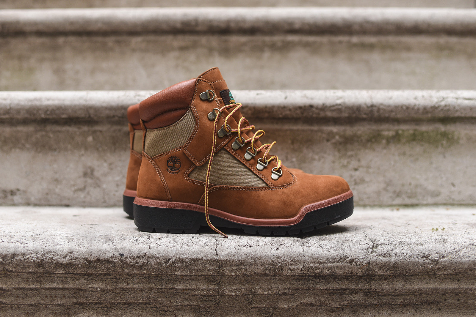 Timberland Field Boot 6" WP Pack