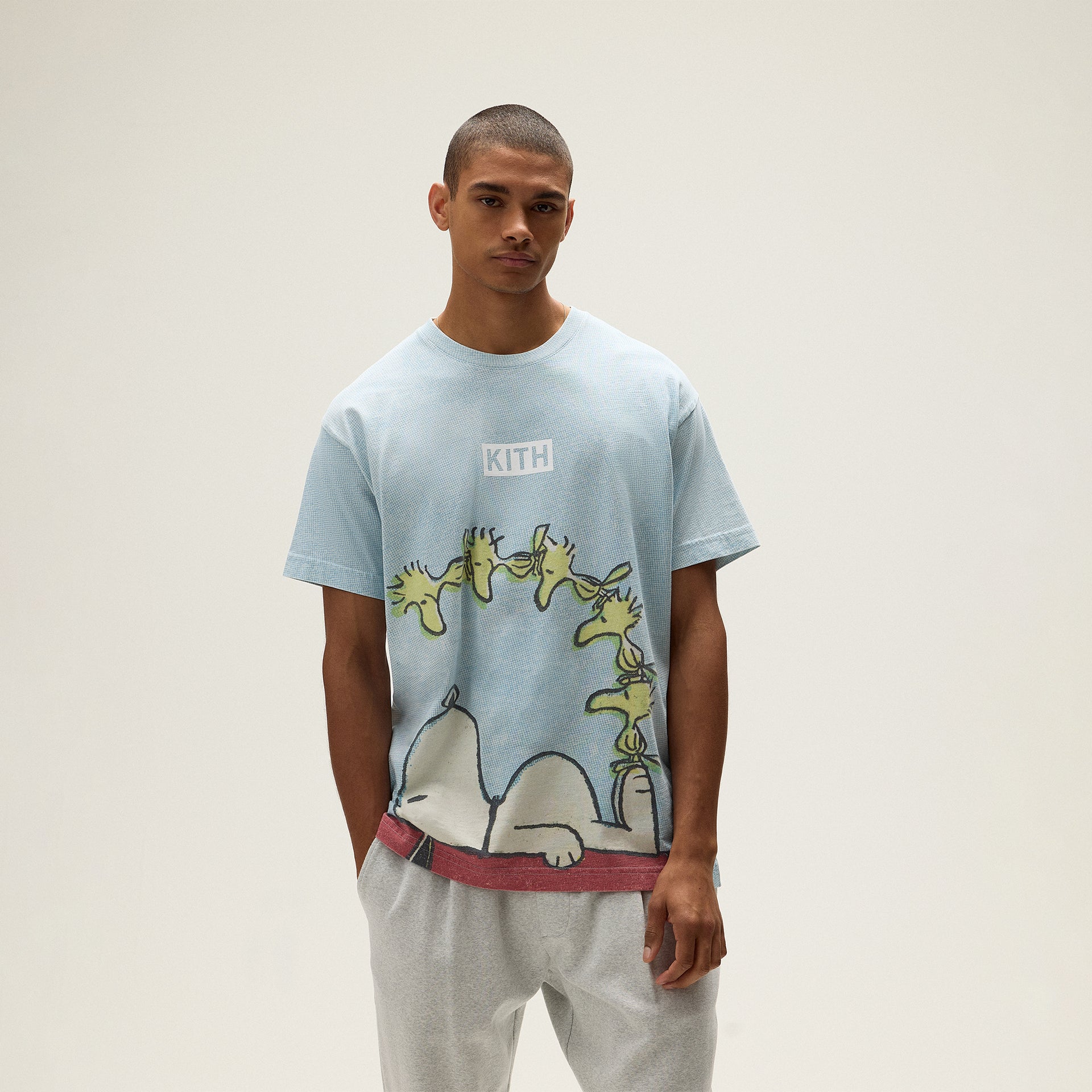 Kith for Peanuts Woodstock Doghouse Comic Vintage Tee - Glisten