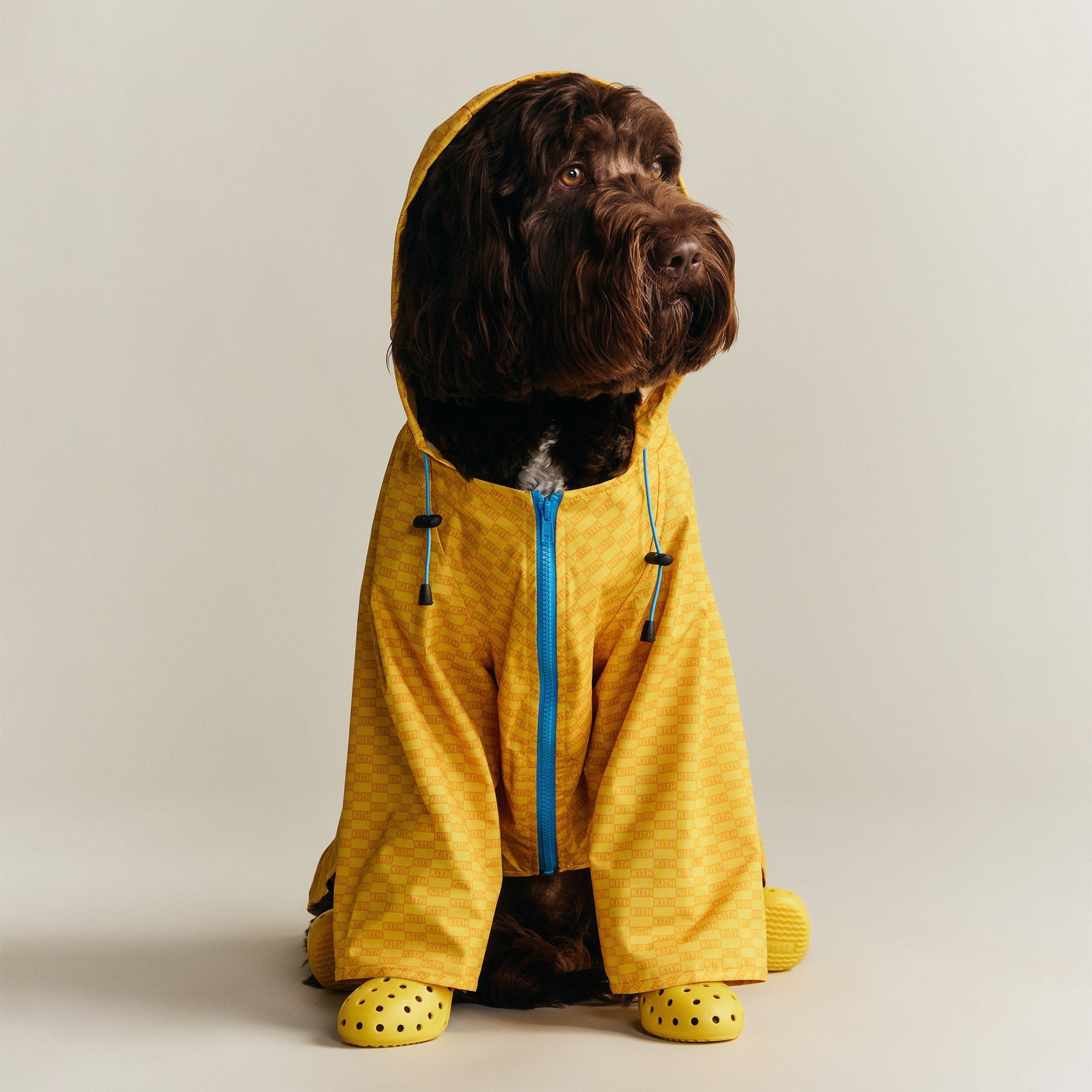 Kith for wagwear Nylon Rainbreaker - Yellow - PH