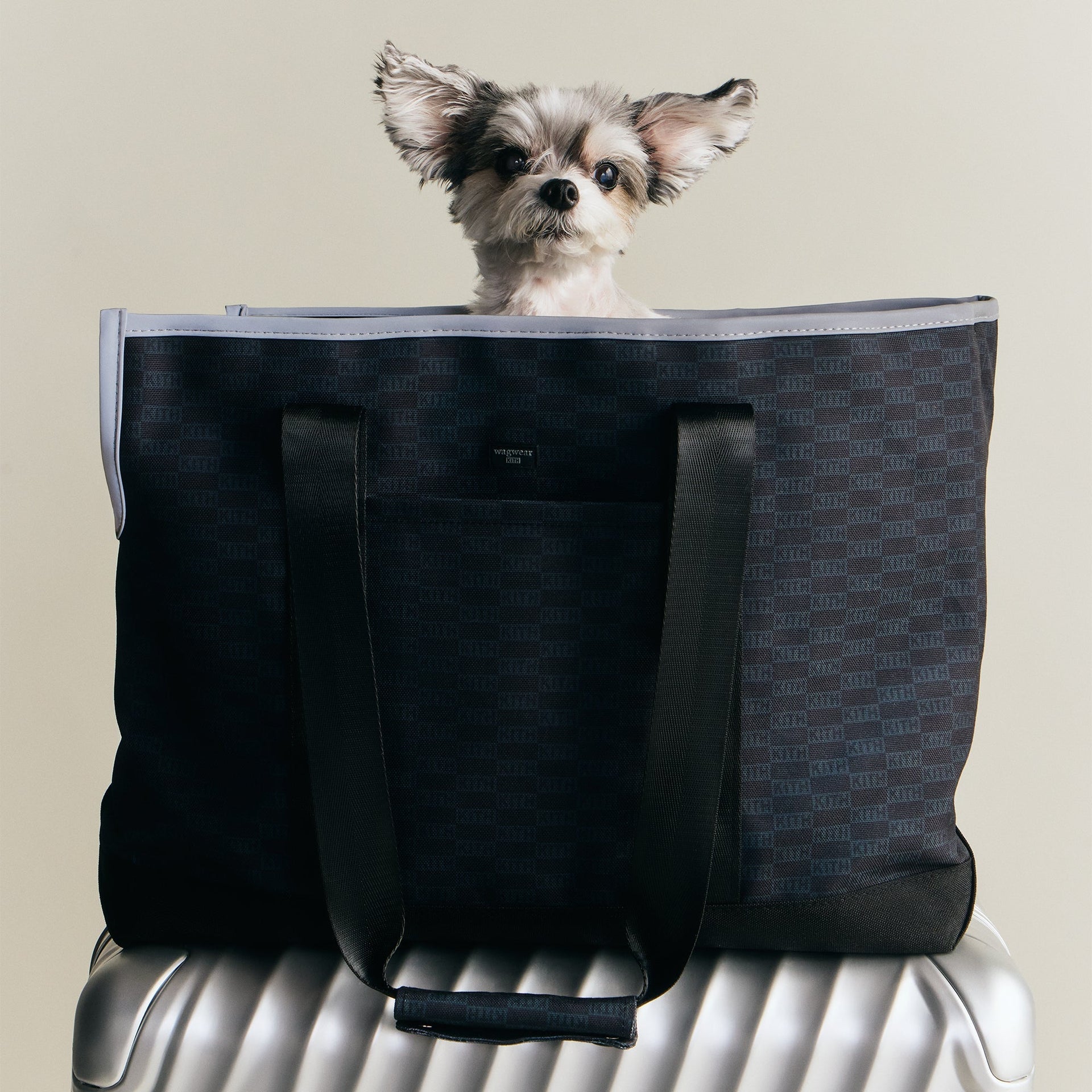 Kith for wagwear Carpenter Bag Carrier - Black - PH