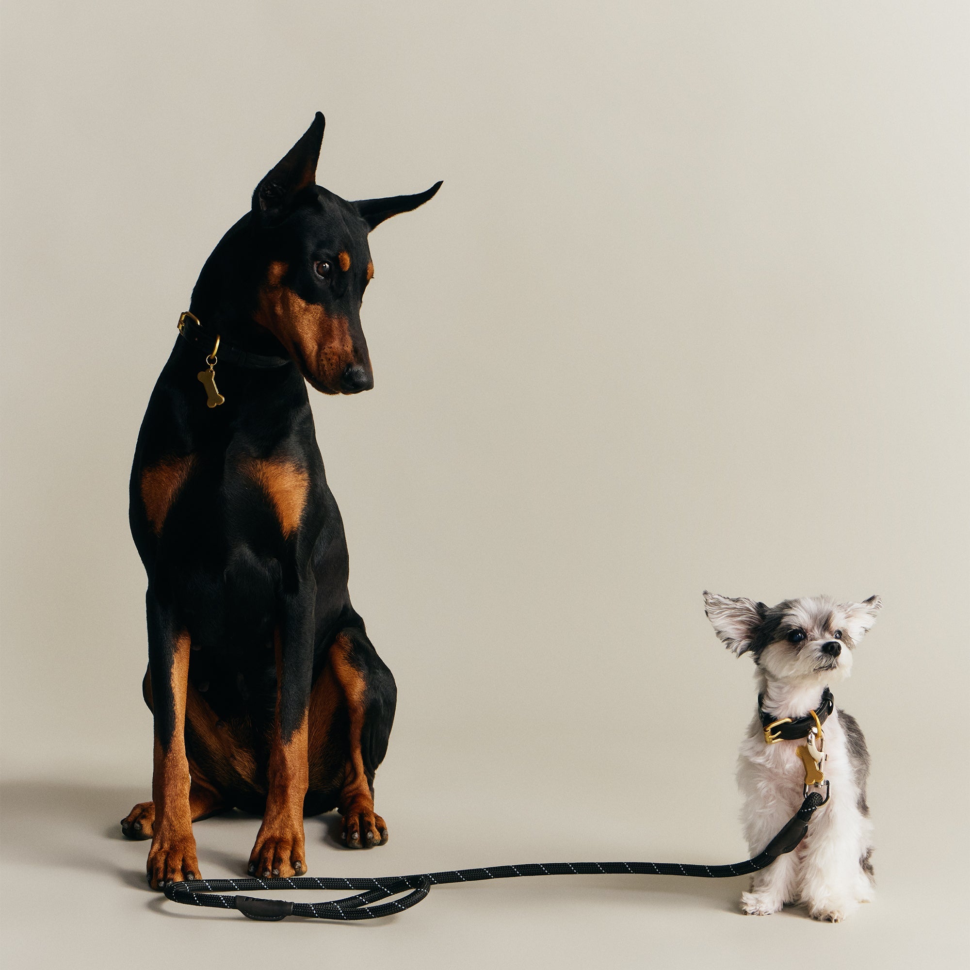 Kith for wagwear Rope Leash - Black – Kith Canada