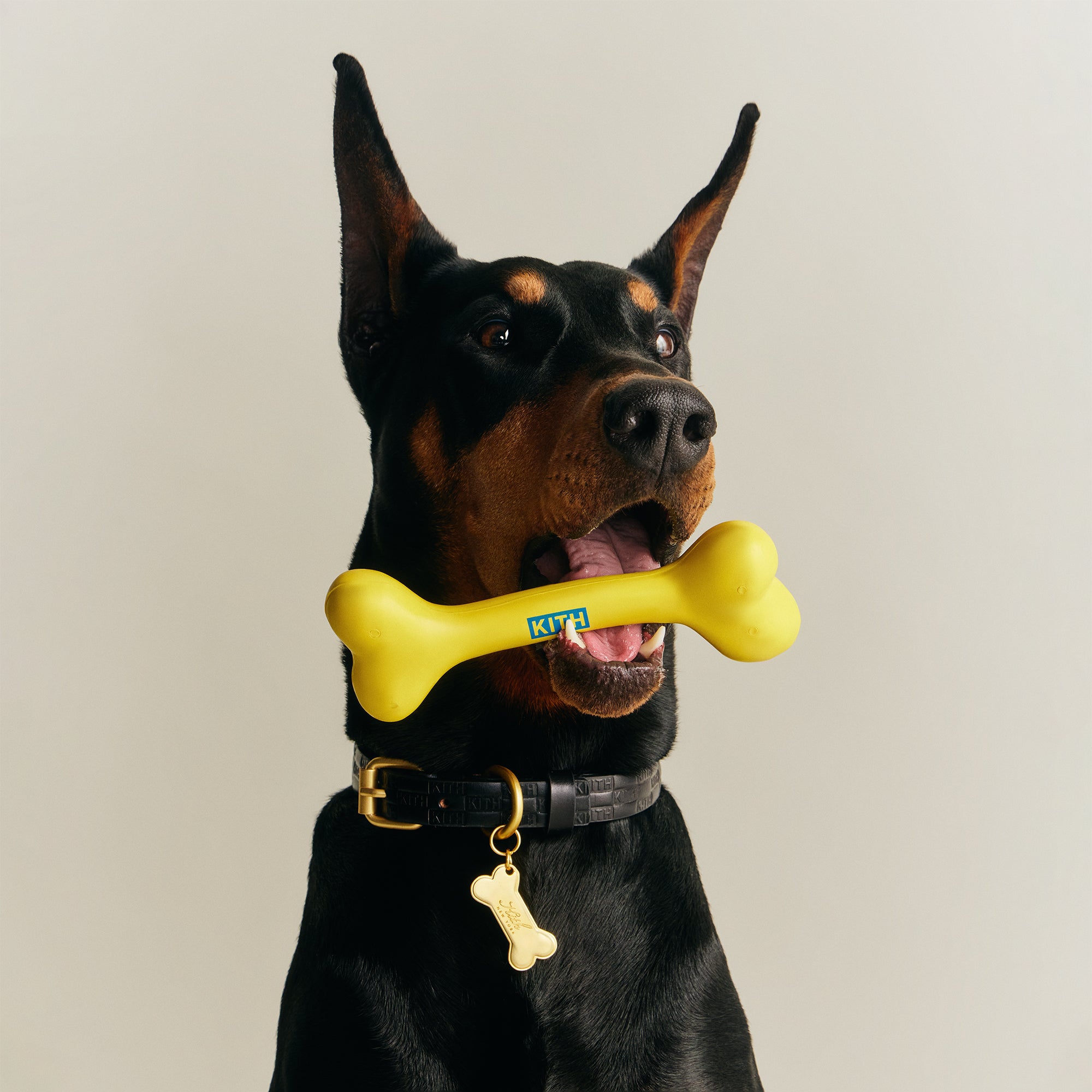 Kith for wagwear – Kith Canada