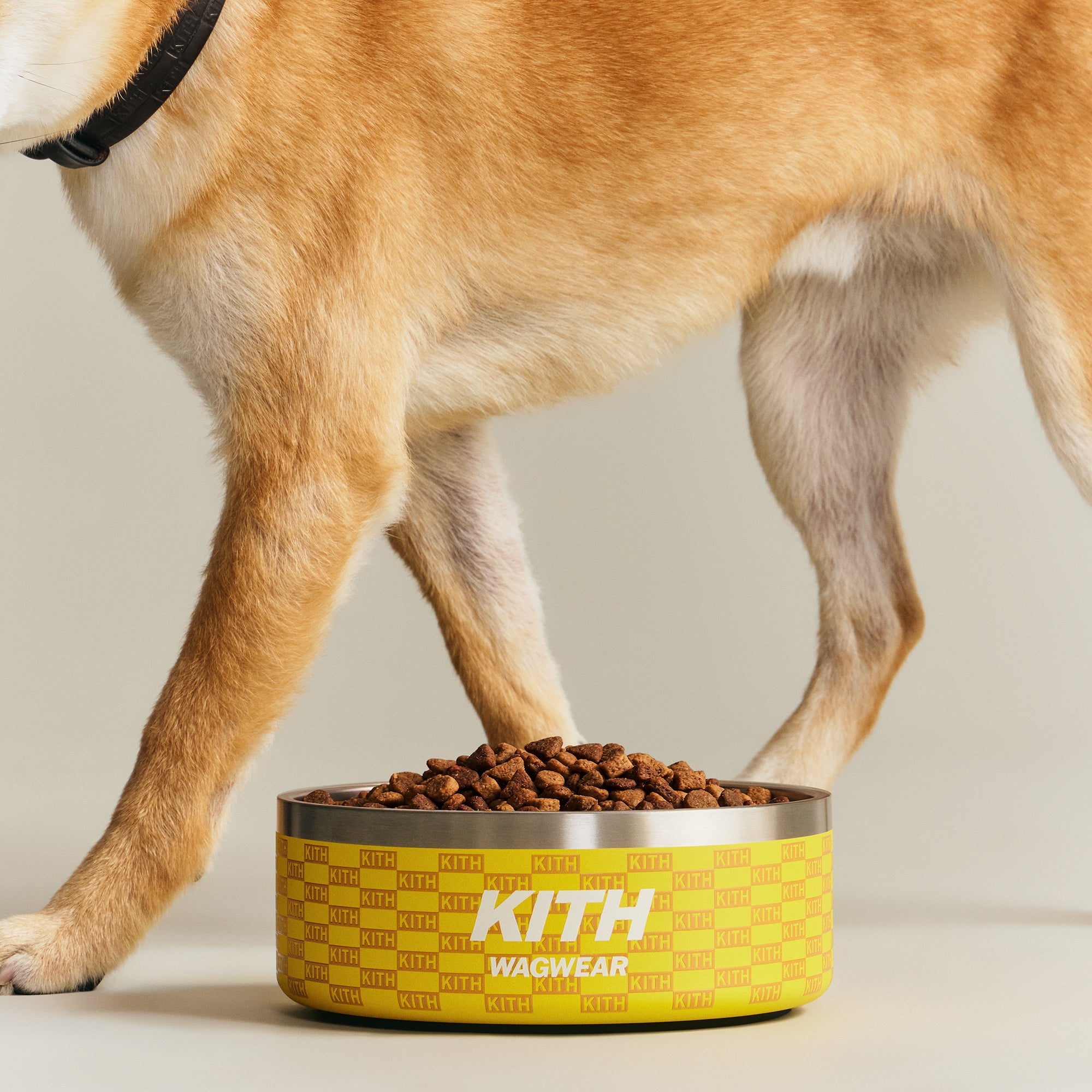 KITH Wagwear ドッグシューズ L イエロー 犬 Kith for wagwear Metal Dog Bowl - Yellow – Kith Canada
