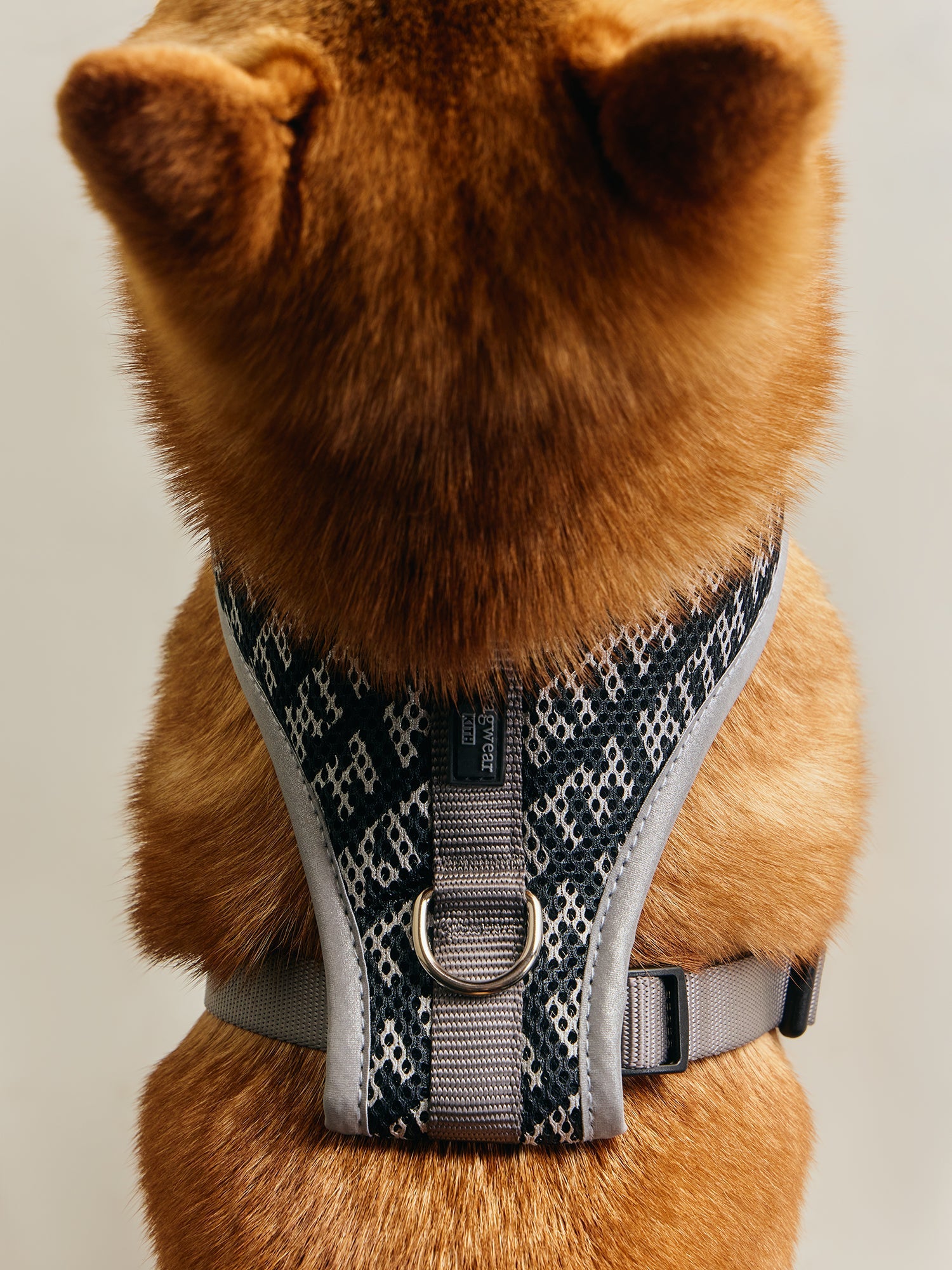 Kith for wagwear – Kith Canada