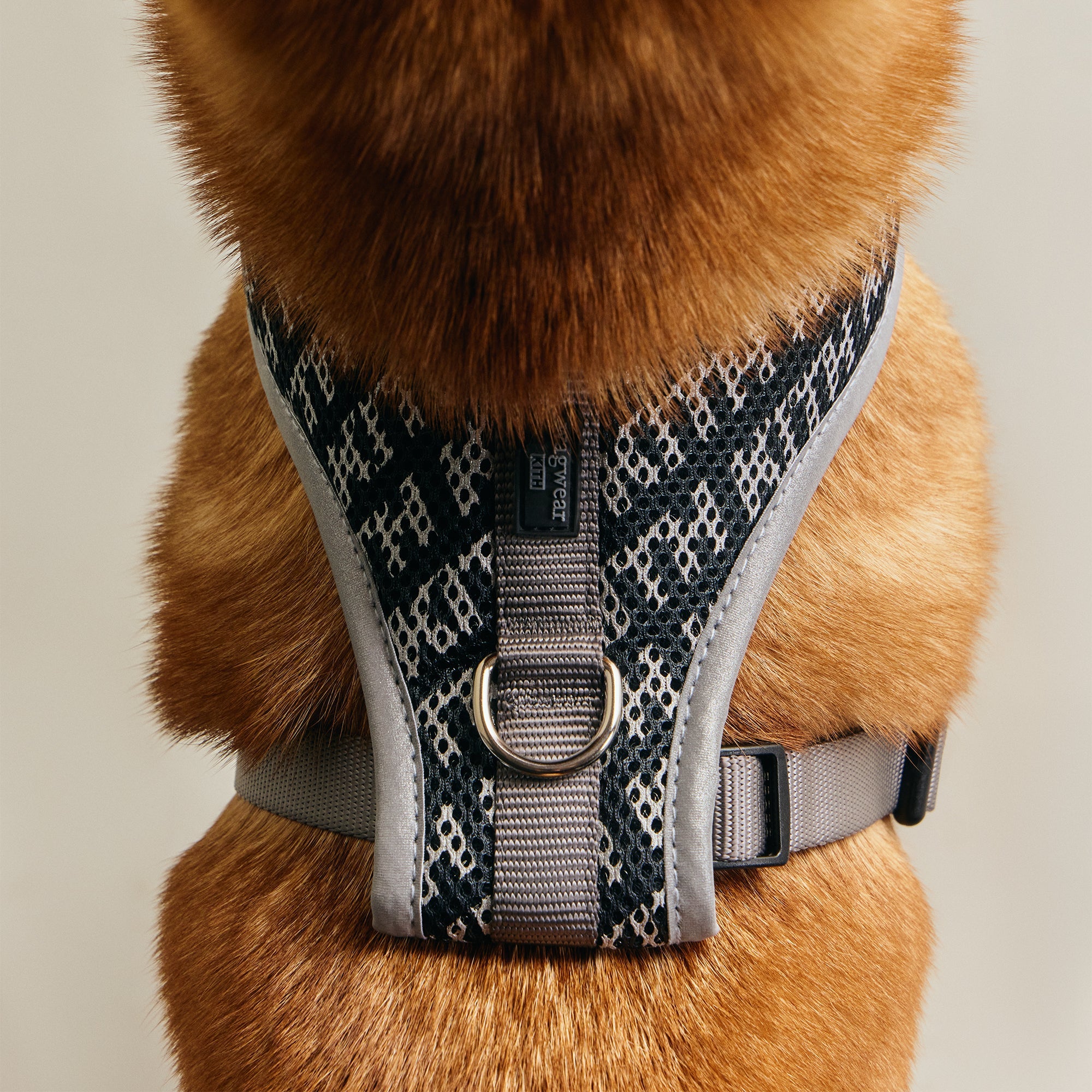 Kith for wagwear Padded Harness - Black – Kith Canada