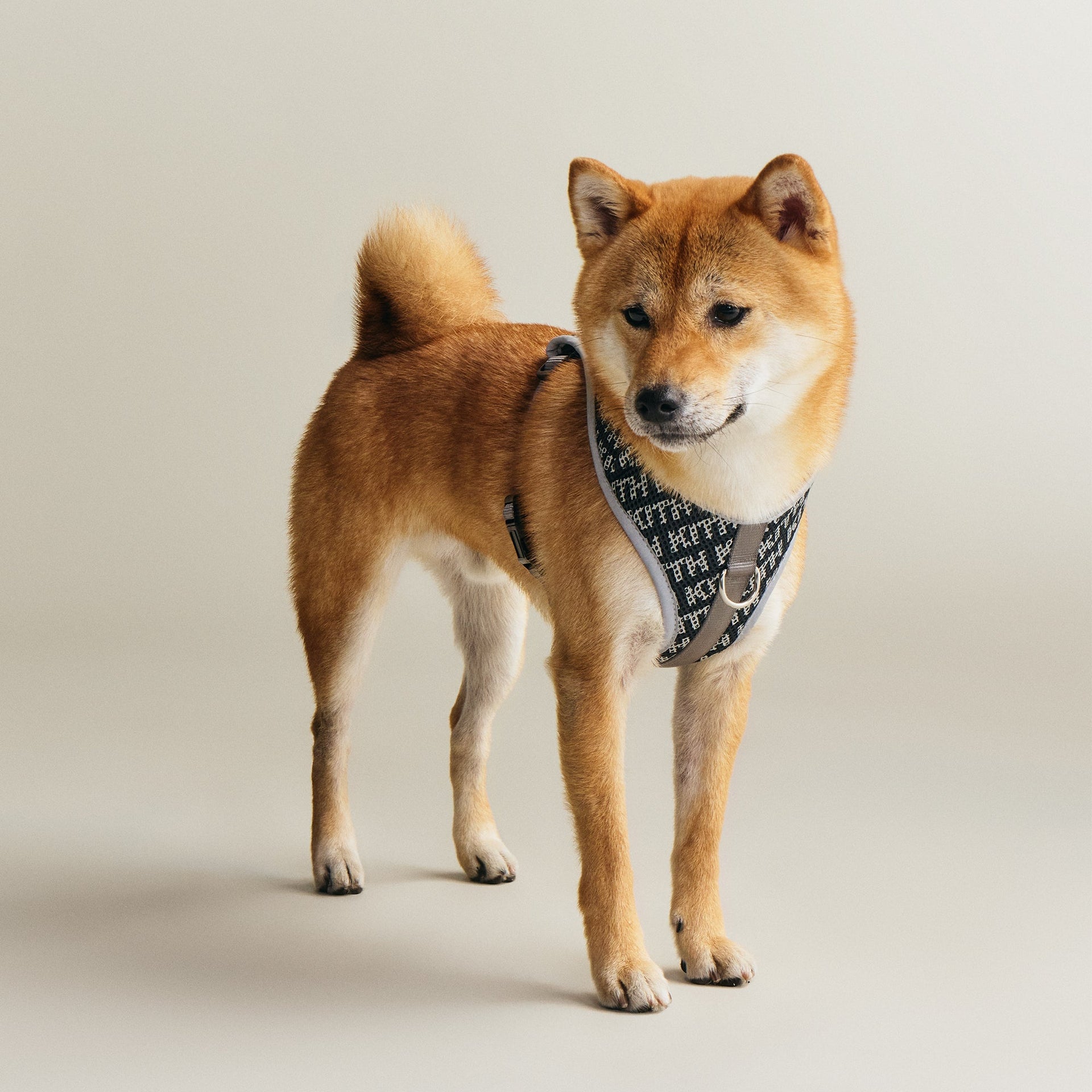 Kith for wagwear Padded Harness - Black - PH