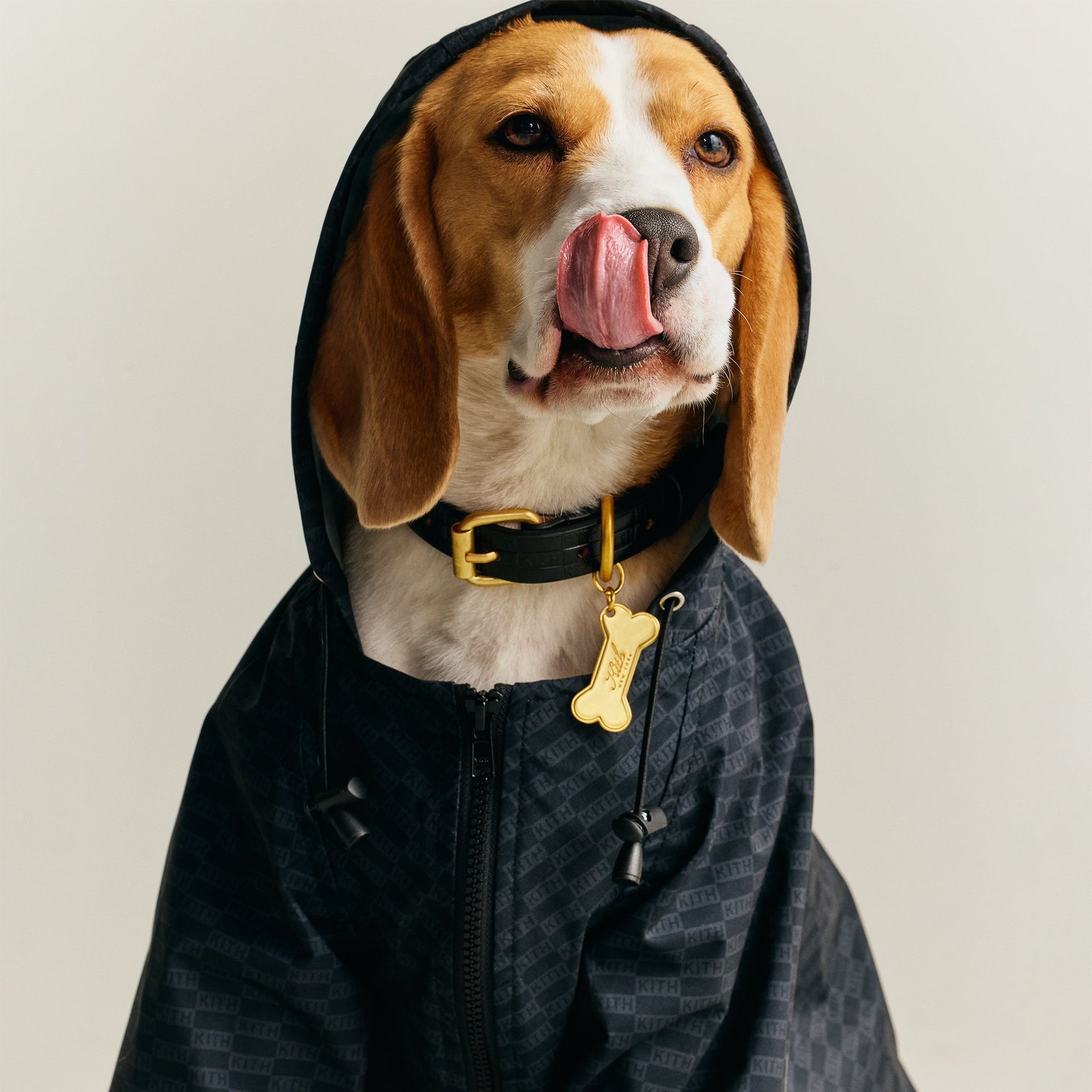 Kith for wagwear Nylon Rainbreaker - Black - PH