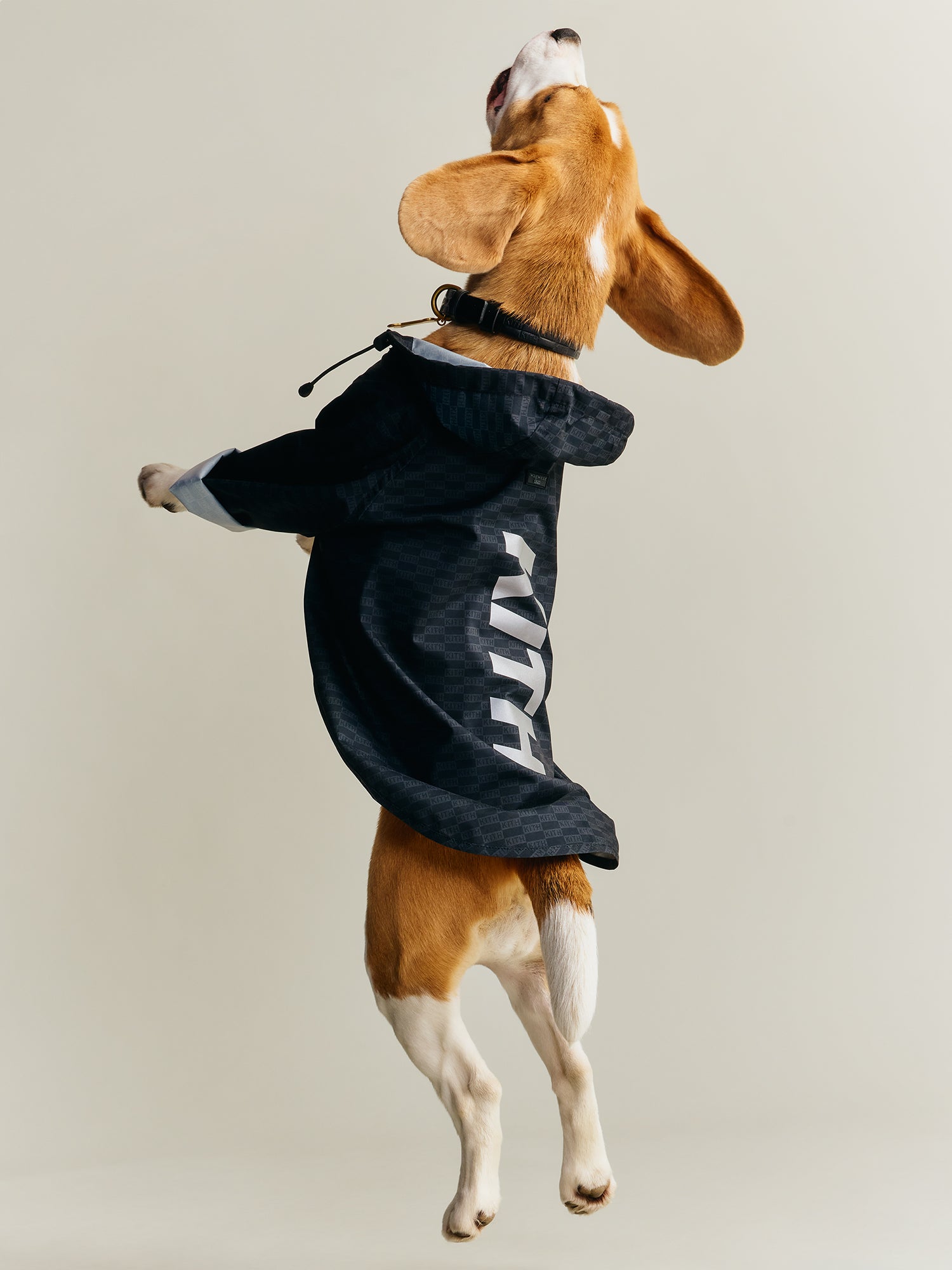 Kith for wagwear – Kith Canada