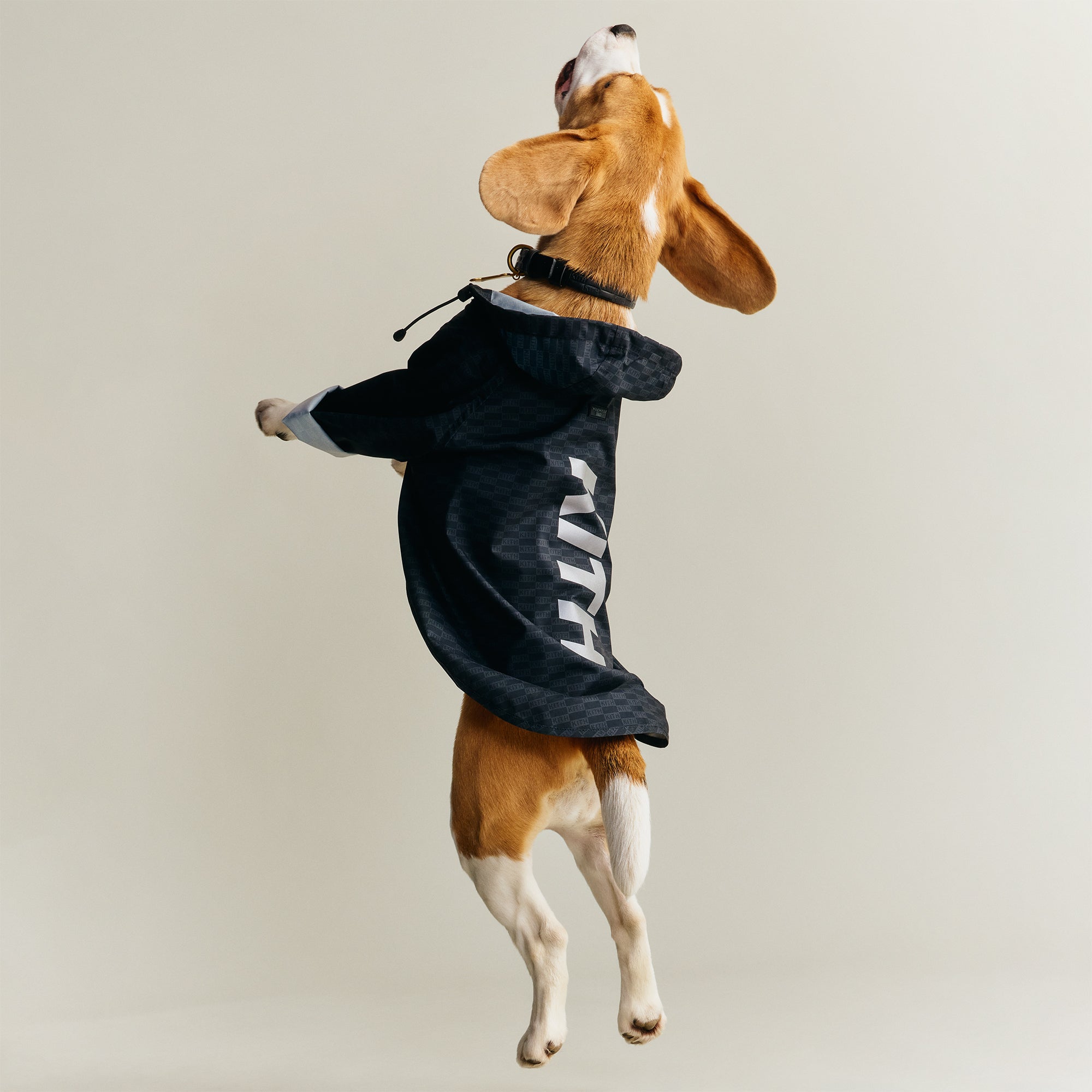 新品 Kith for wagwear Nylon Rainbreaker XL Kith for wagwear Nylon Rainbreaker - Black – Kith Canada
