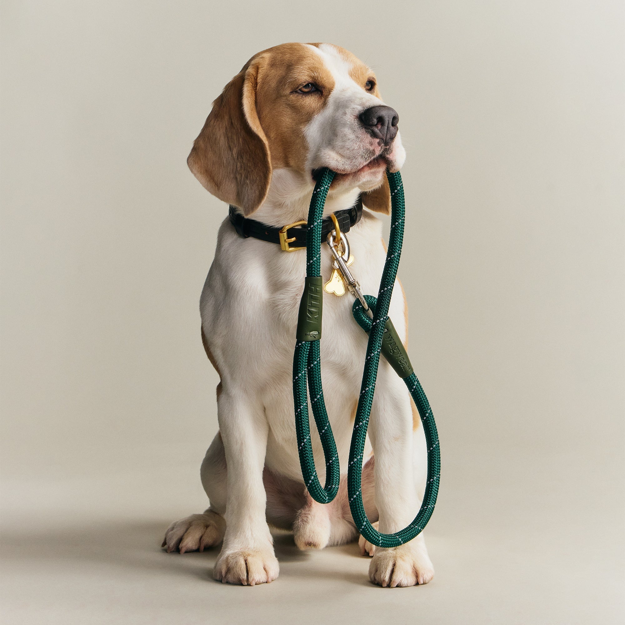 Kith for wagwear Rope Leash - Stadium – Kith Canada