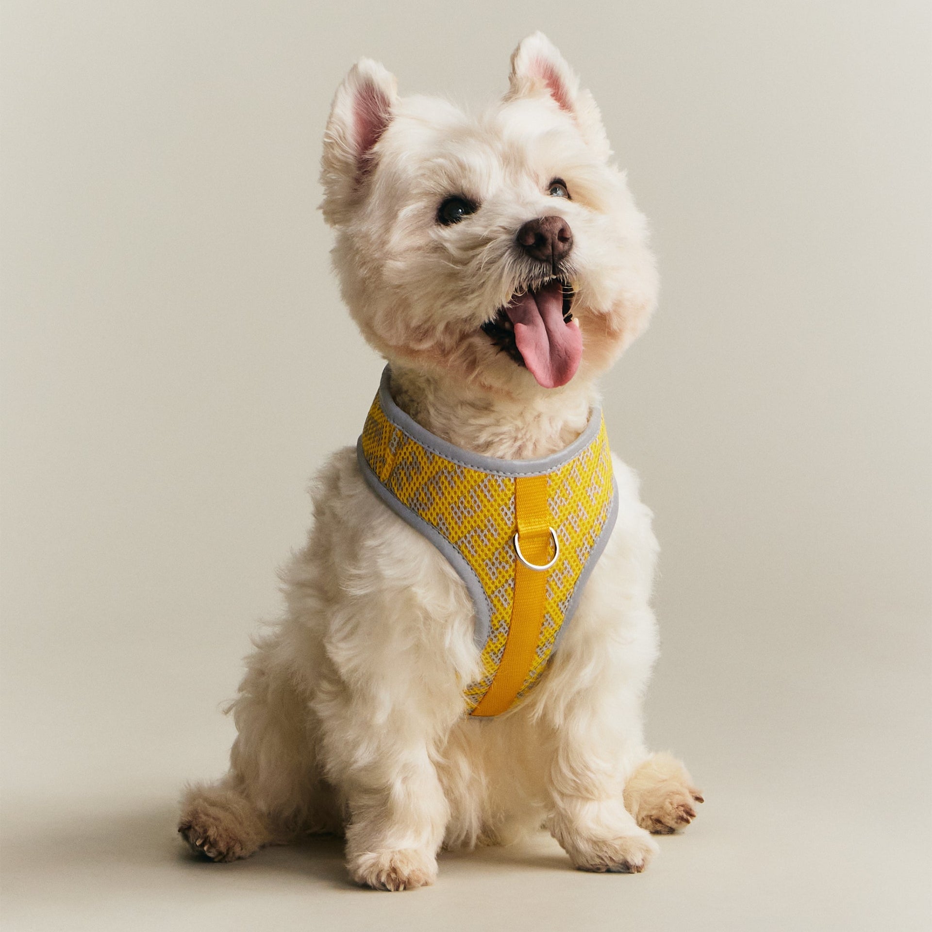Kith for wagwear Padded Harness - Yellow - PH