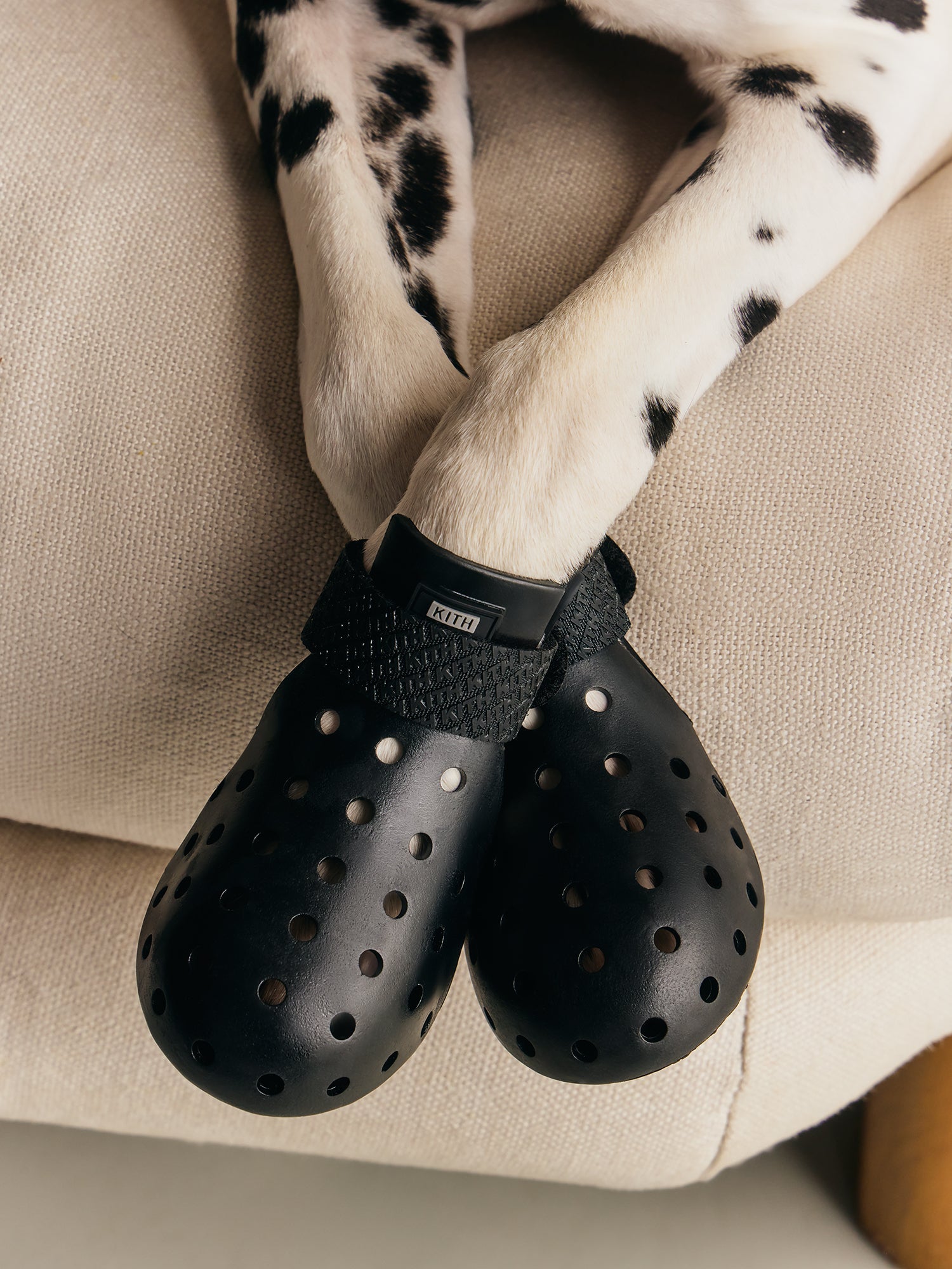 Kith for wagwear – Kith Canada