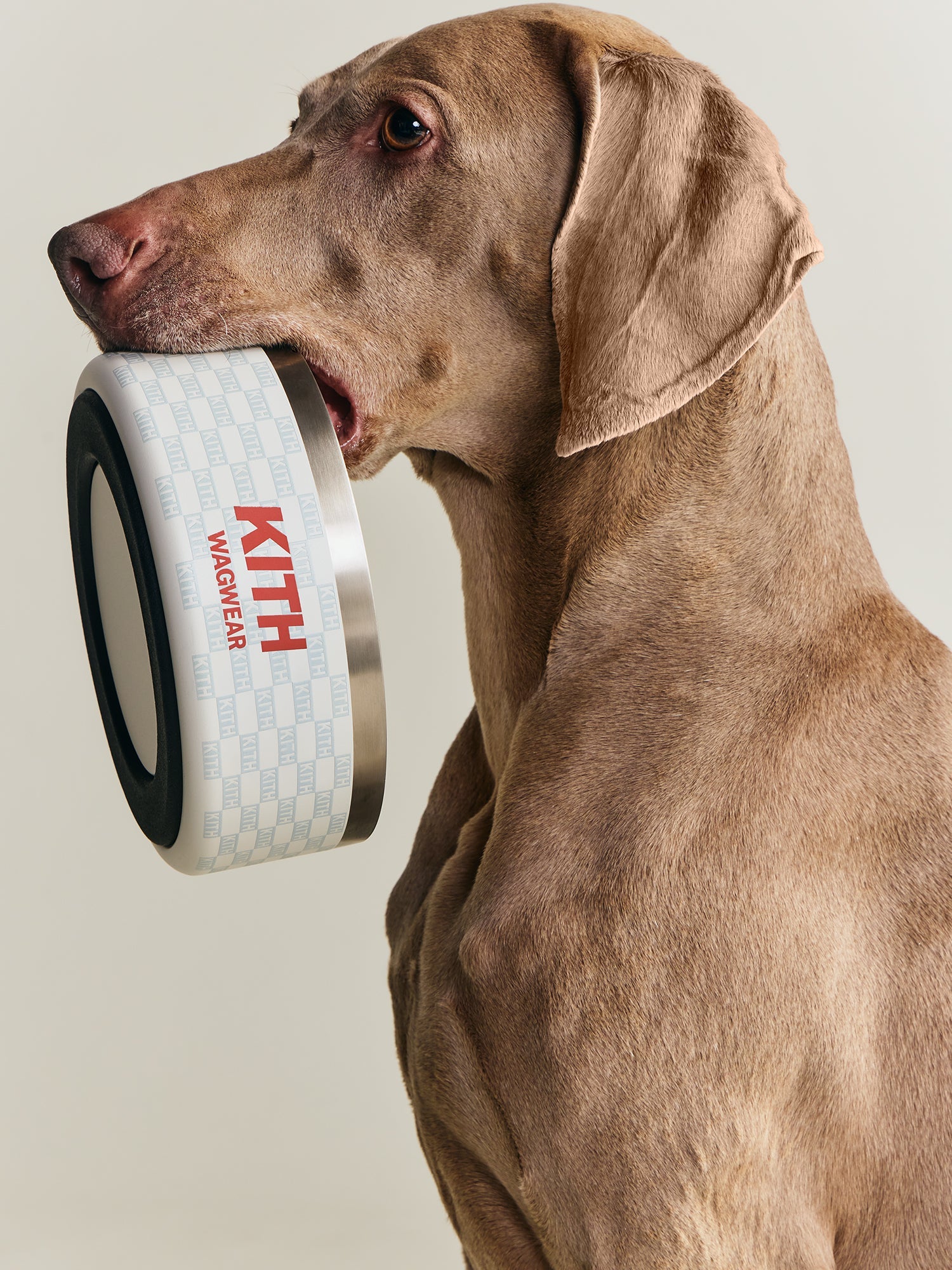 Kith for wagwear – Kith Canada