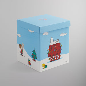 Kith for Peanuts Snoopy Doghouse Plush - Multi PH – Kith Canada