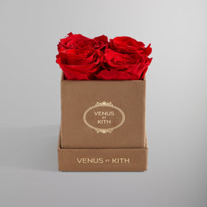 Kith for Venus et Fleur Le Petit - Toronto