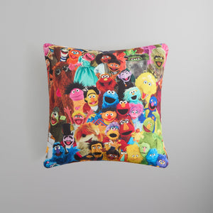 Kith for Sesame Street Pillow - Multi