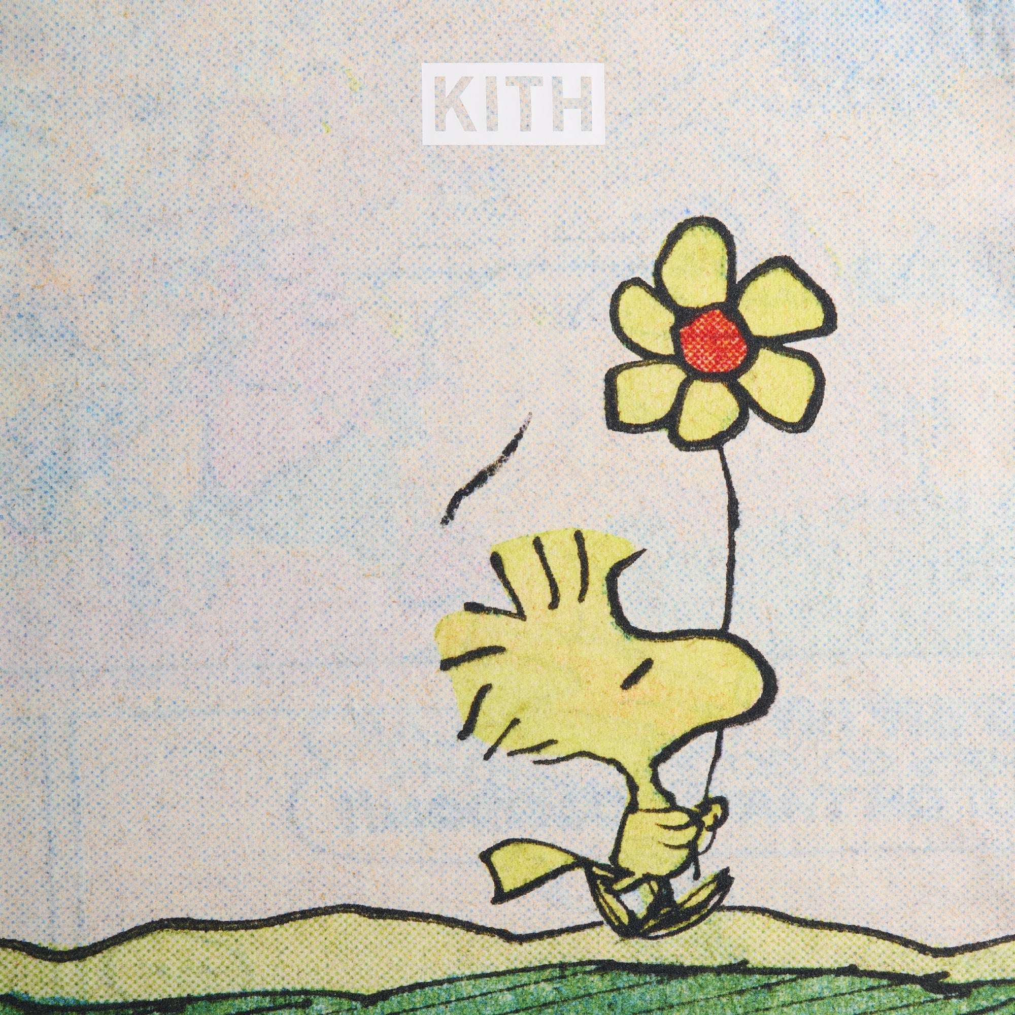 ★25SS★Kith for Peanuts Woodstock Comic Vintage Tee Kith for Peanuts Woodstock Comic Vintage Tee - Chalk