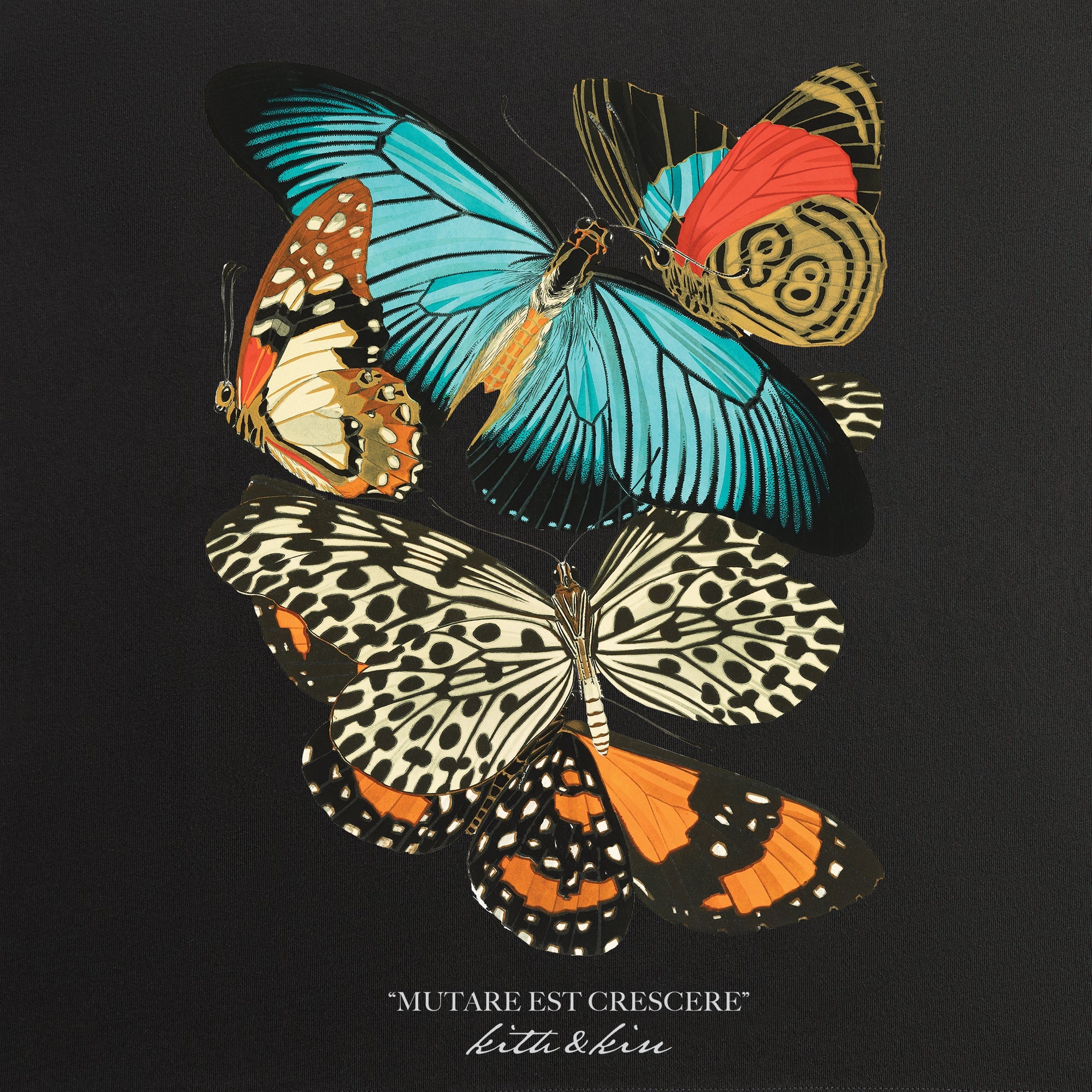 Kith Butterfly Vintage Tee - Black – Kith Canada