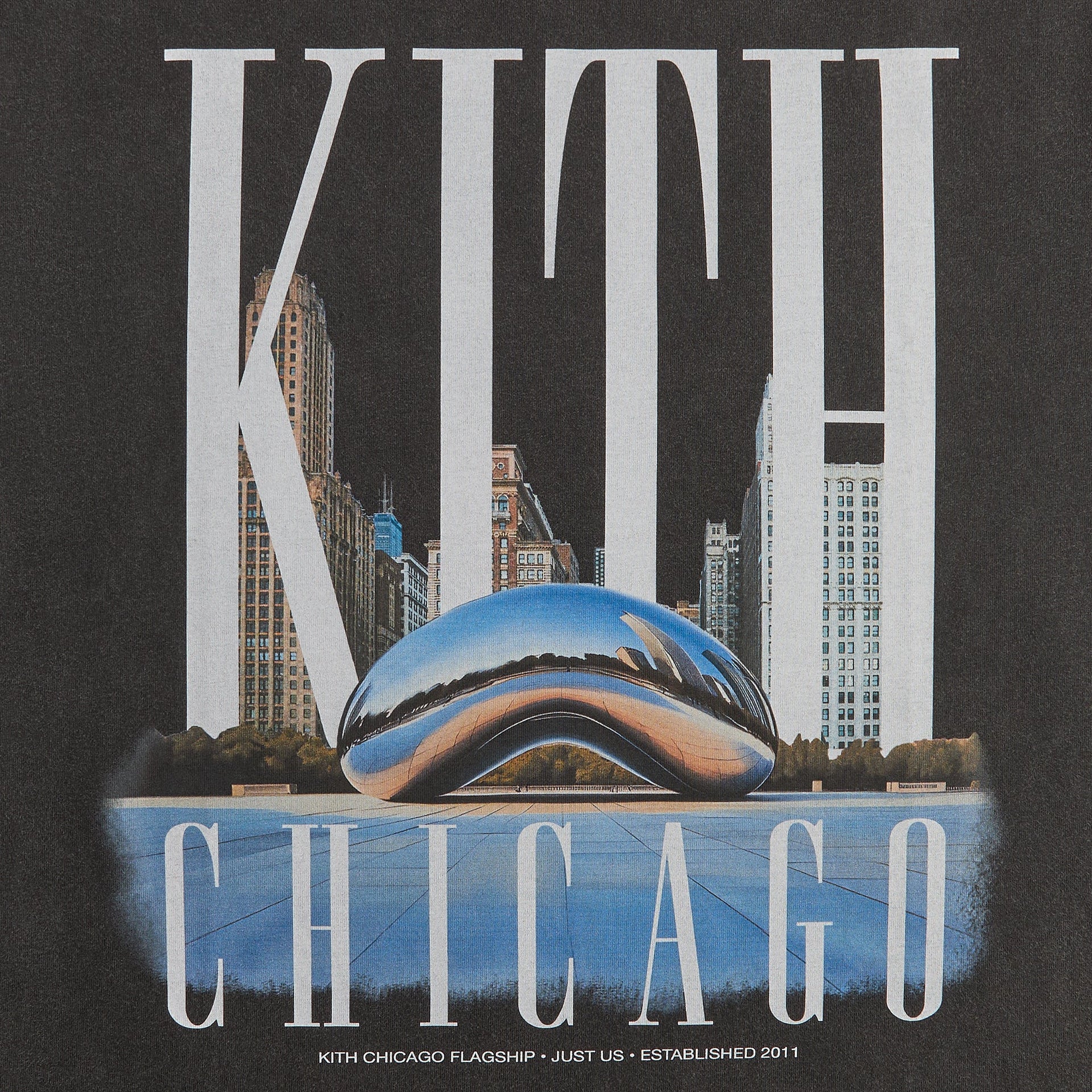 Kith Millennium Park Vintage Tee - Black