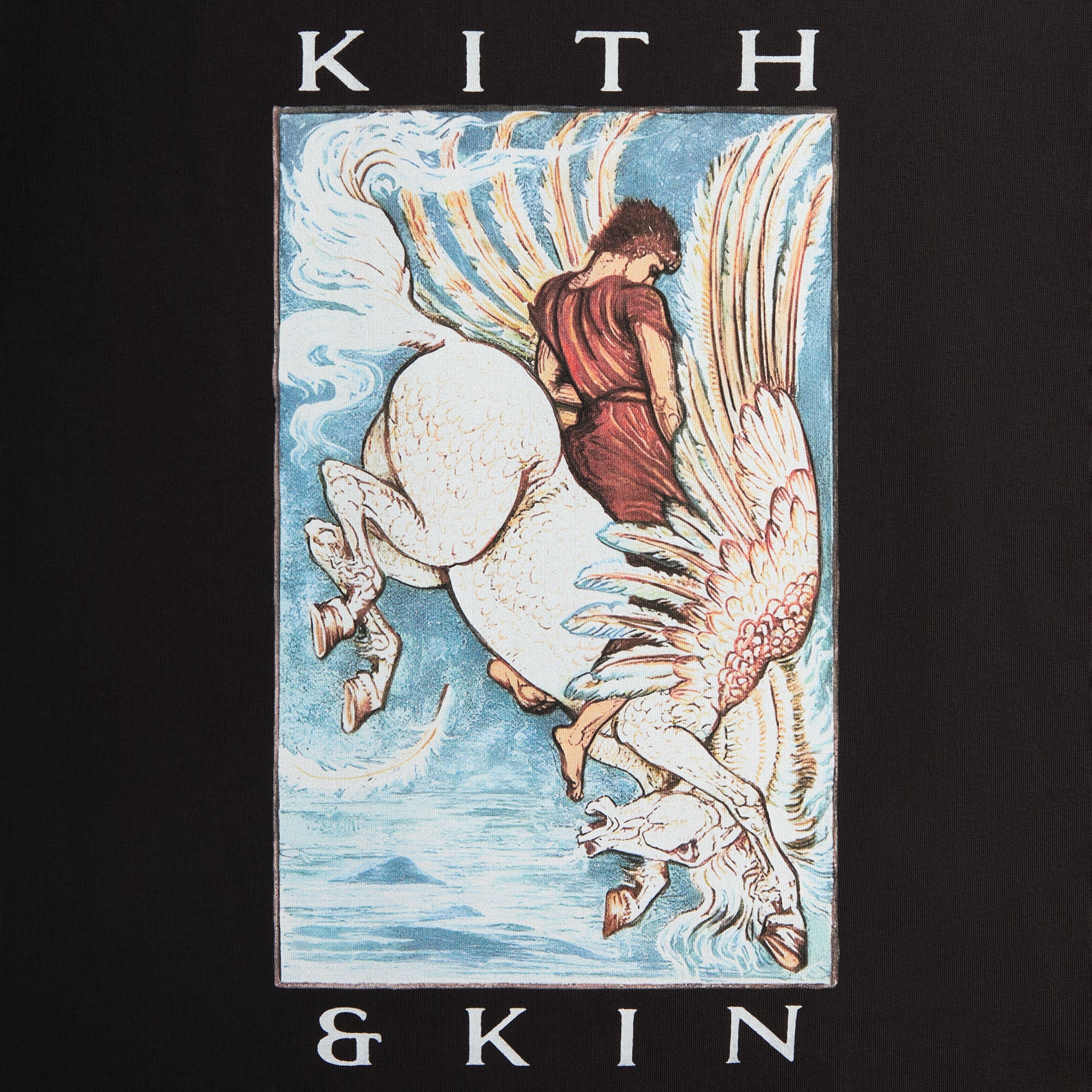 Kith & Kin Pegasus Tee - Black – Kith Canada