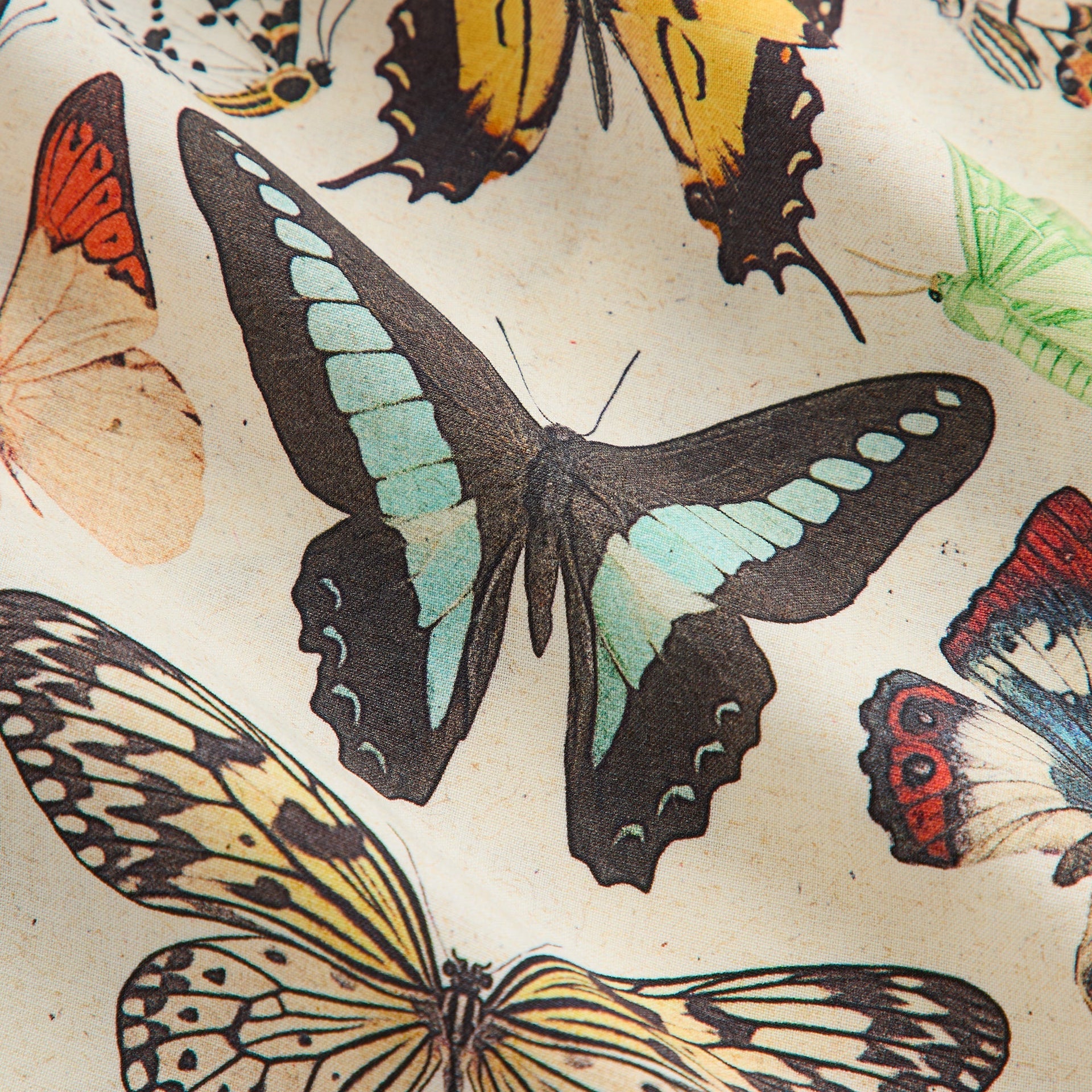 &Kin Butterfly Archive Thompson Camp Collar Shirt - Sandrift - PH