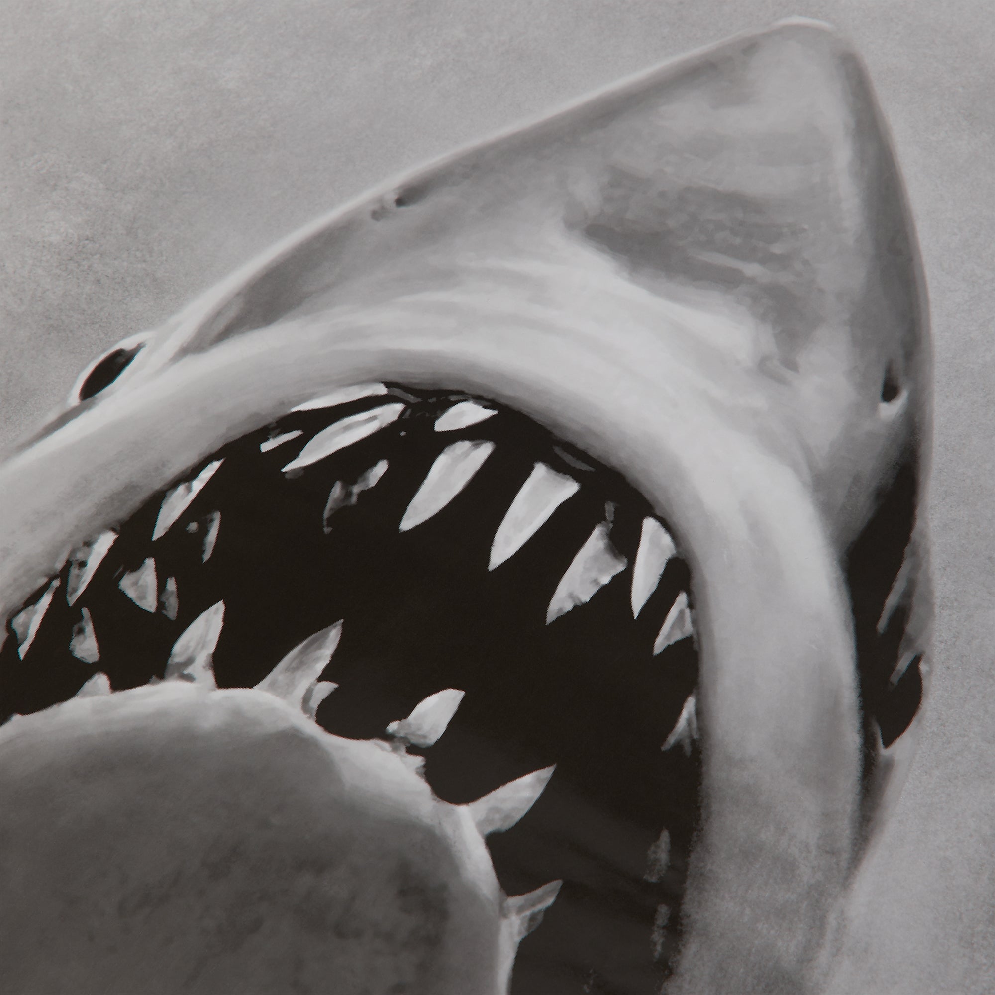 JAWS × KITH ポスター ジョーズ Kith for JAWS Movie Poster - Multi – Kith Canada