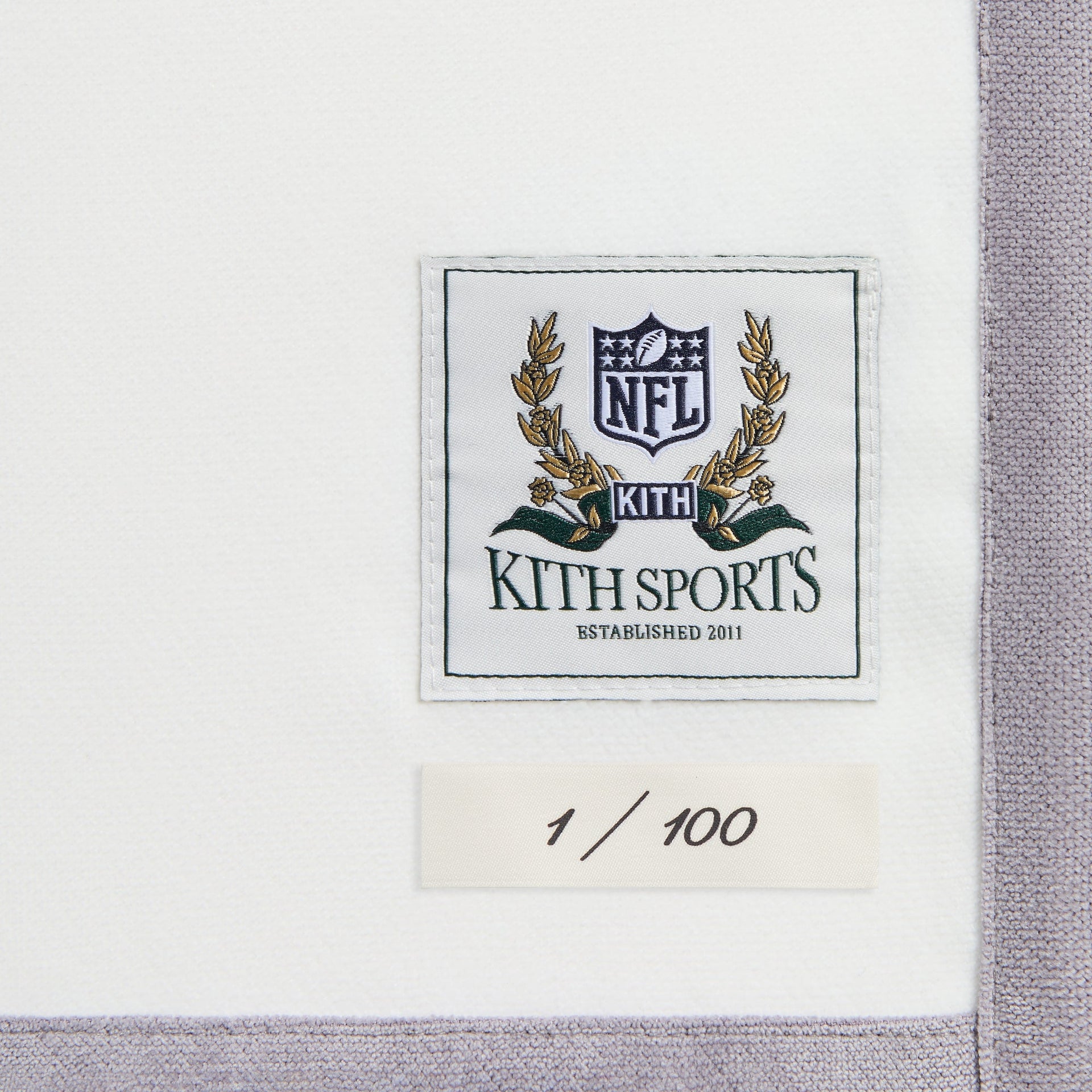 Kith & the NFL for the Detroit Lions Leon Shirt - White