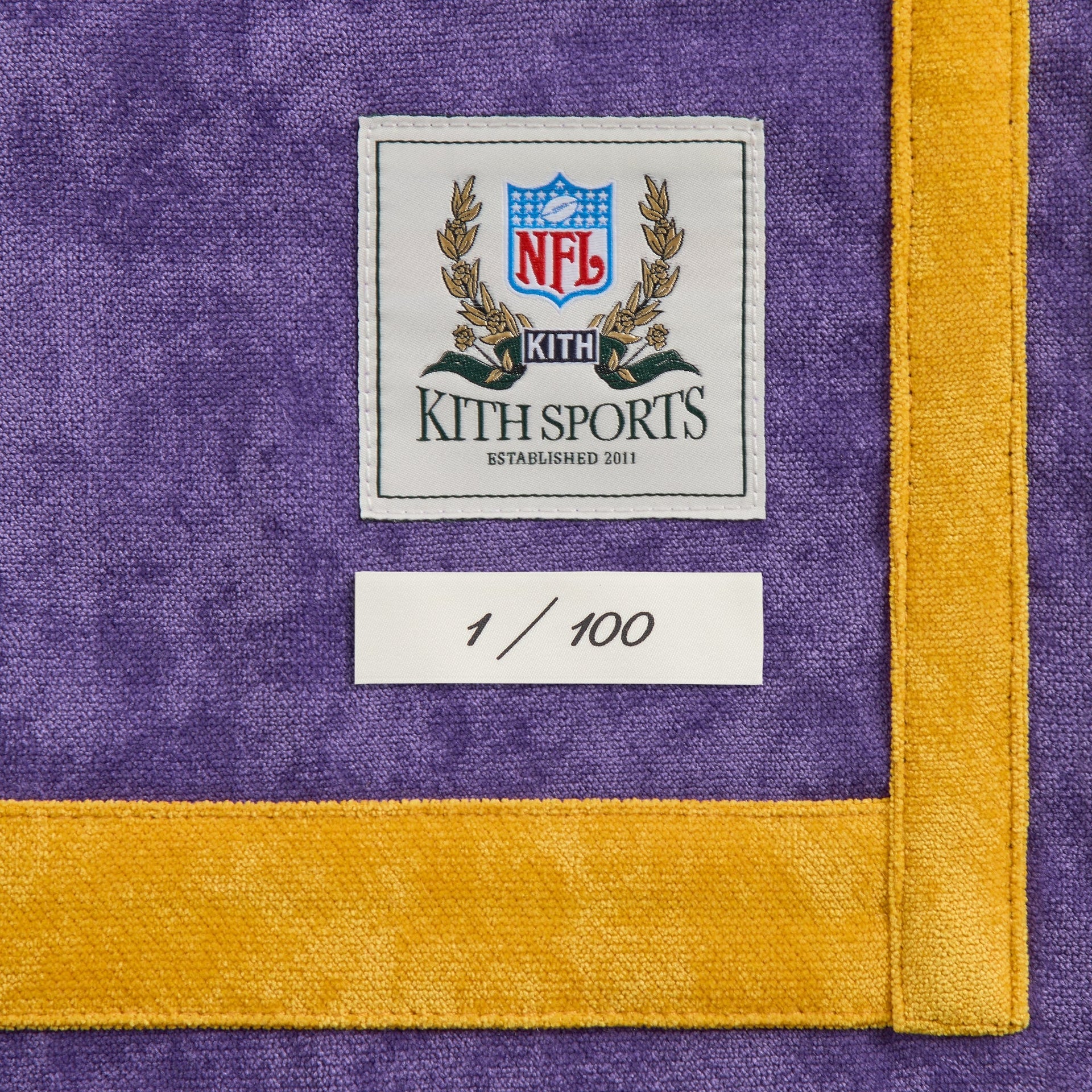 Kith & the NFL for the Minnesota Vikings Leon Shirt - Piper - PH