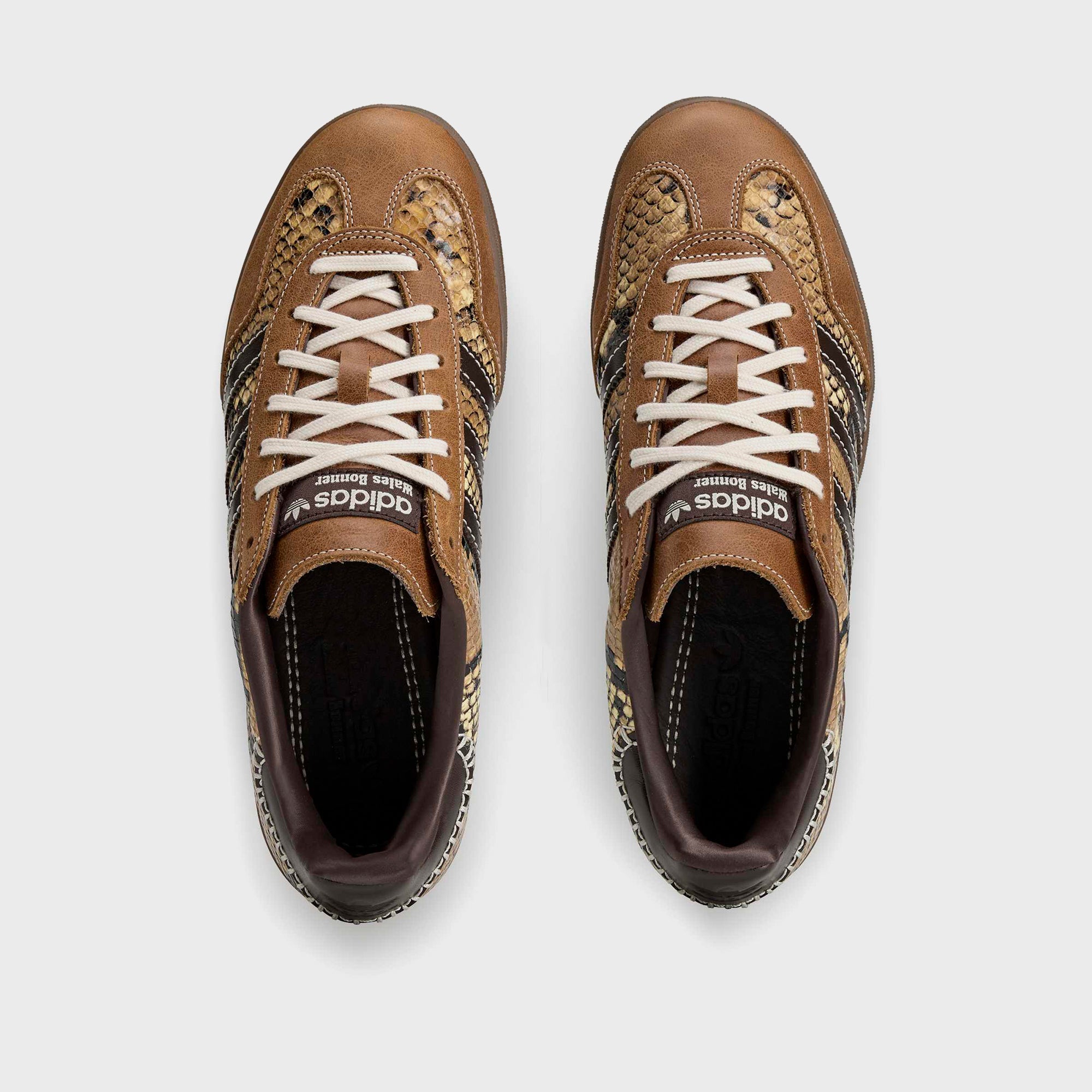wales bonner 11747391 ポーガーズ gwdh kiosque adidas x Wales Bonner Gazelle Snake - Dust Rust / Wonder White