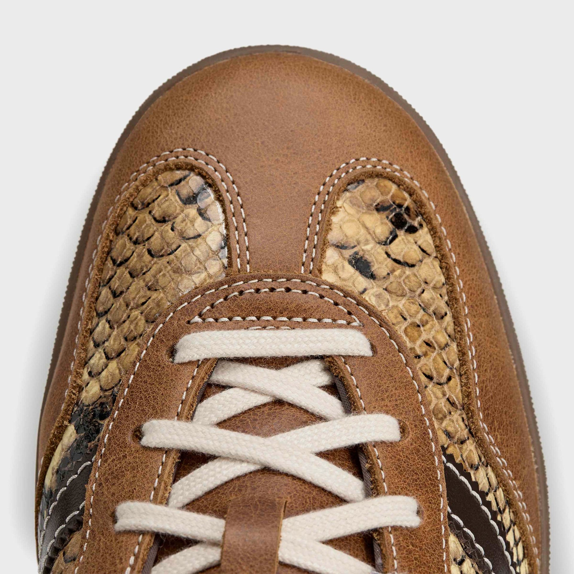 adidas x Wales Bonner Gazelle Snake - Dust Rust / Wonder White / Collegiate Burgundy