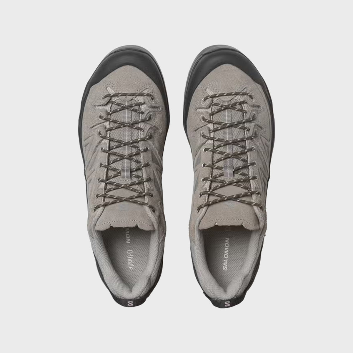 Salomon X-ALP LTR - Cloudburst / Paloma / Black