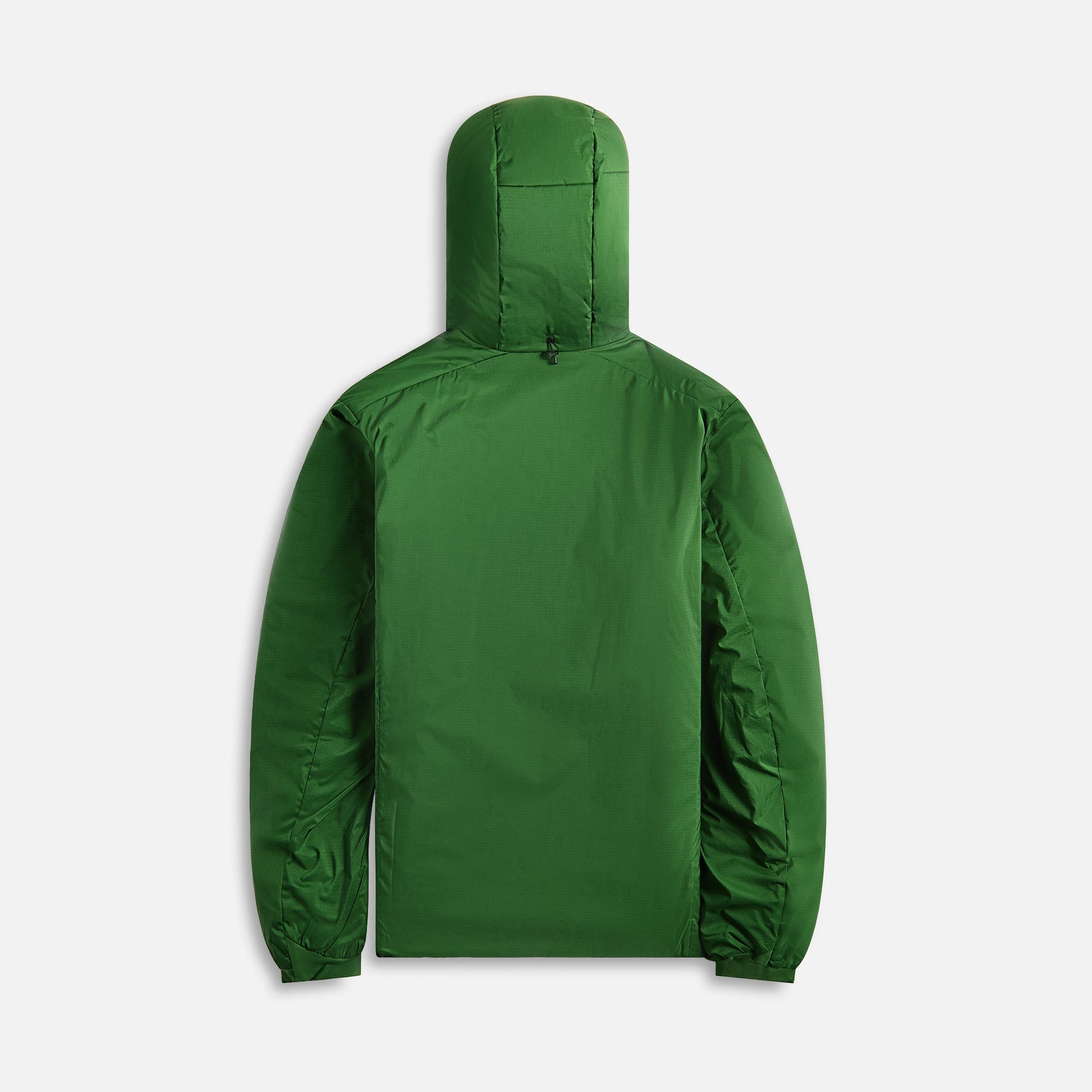 Arc'teryx Atom Heavyweight Hoody - Eden