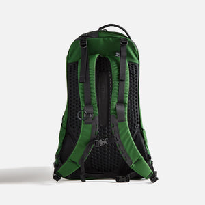 Arc'teryx Arro 22 Backpack - Eden