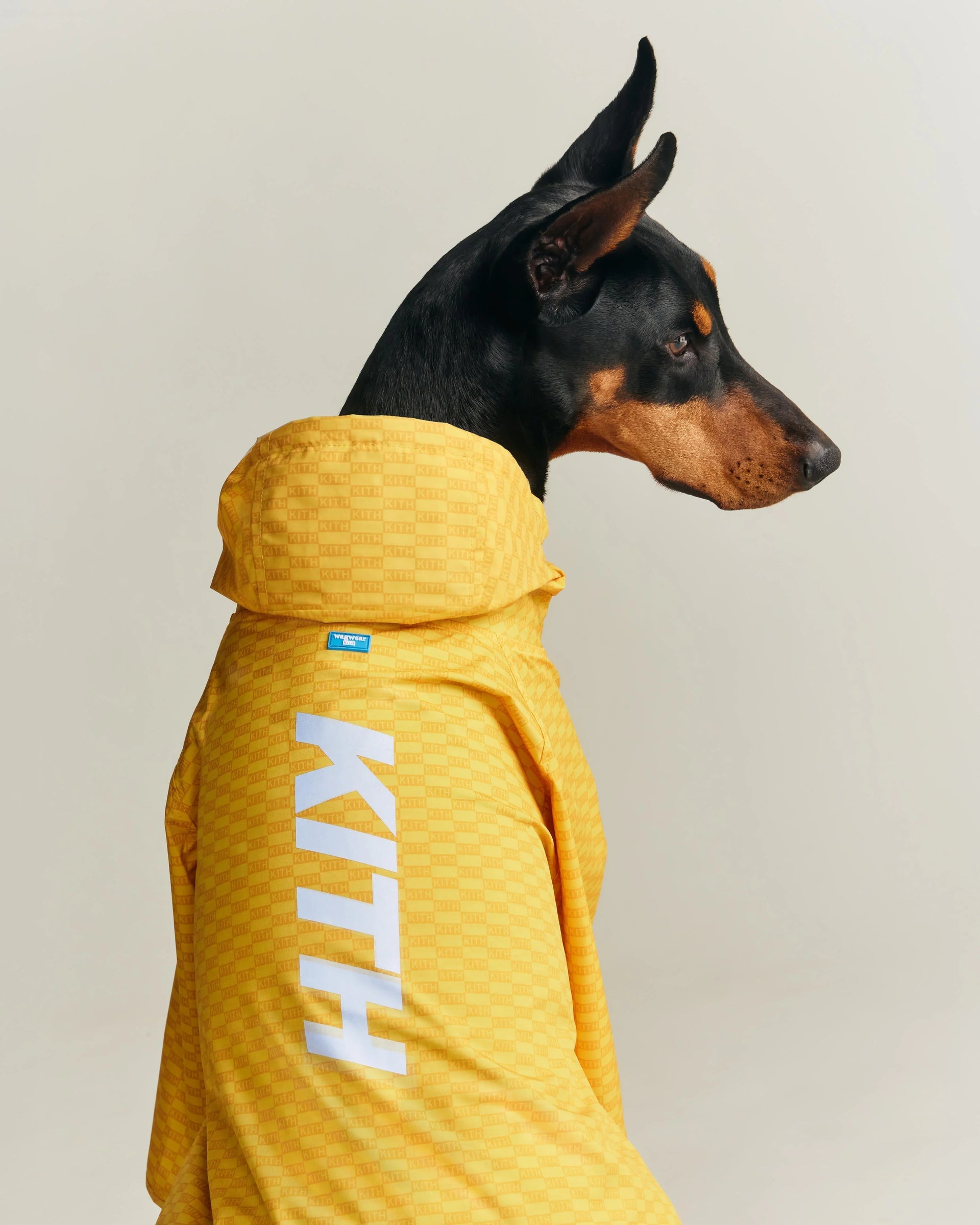 Designer Clothing, Shoes, & Accessories | Kith CA – Kith Canada Designer Clothing, Shoes, & Accessories | Kith CA – Kith Canada