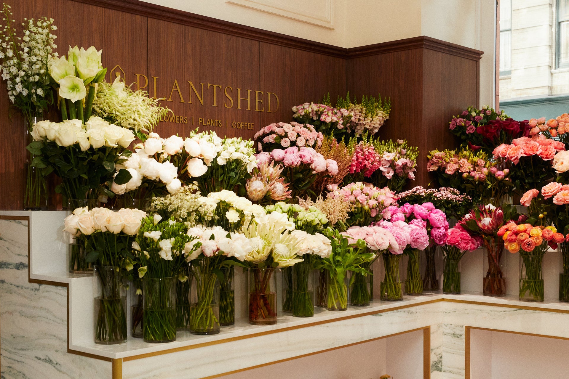 Featured | PlantShed