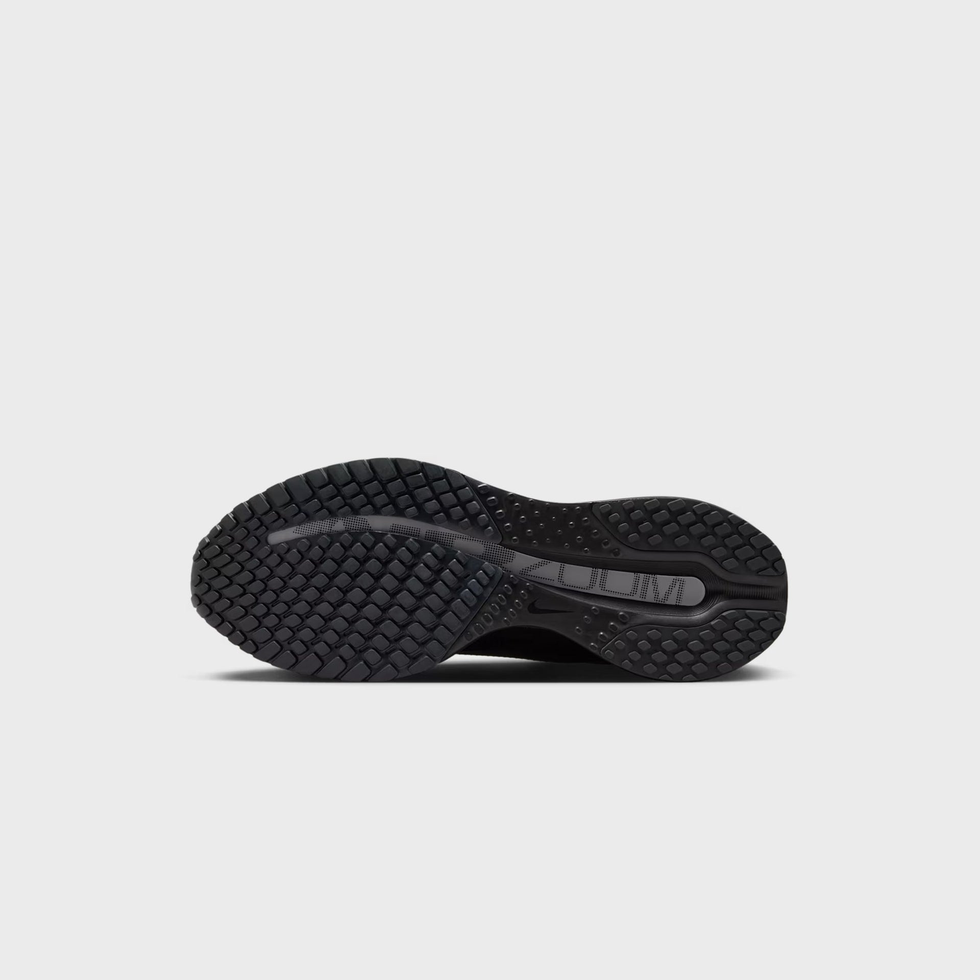 Nike Pegasus Premium SP - Black/ Metallic Silver / White